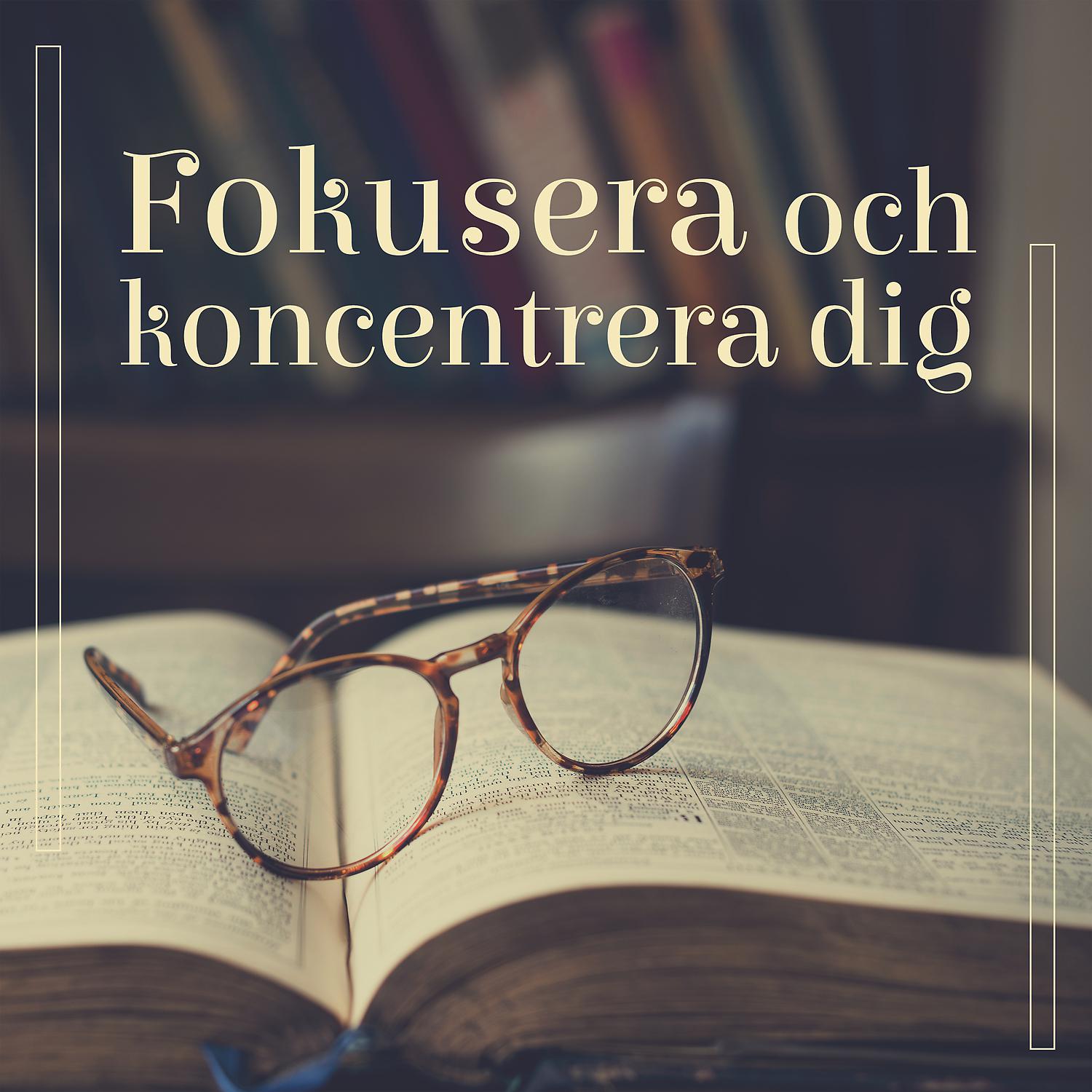 Постер альбома Fokusera och koncentrera dig: Bakgrundsarbetsmusik