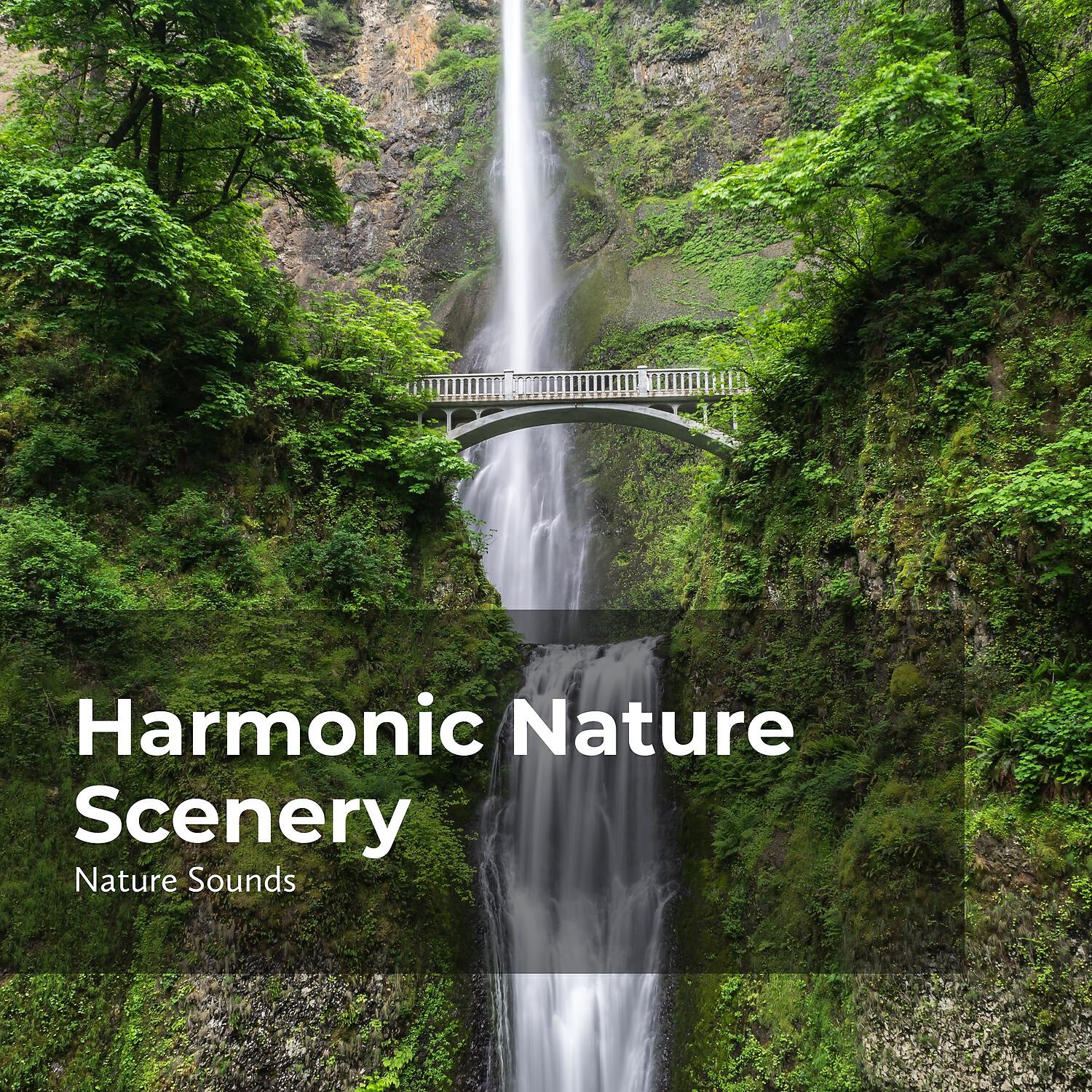 Sleep Sounds Of Nature - Walking in the Bridge