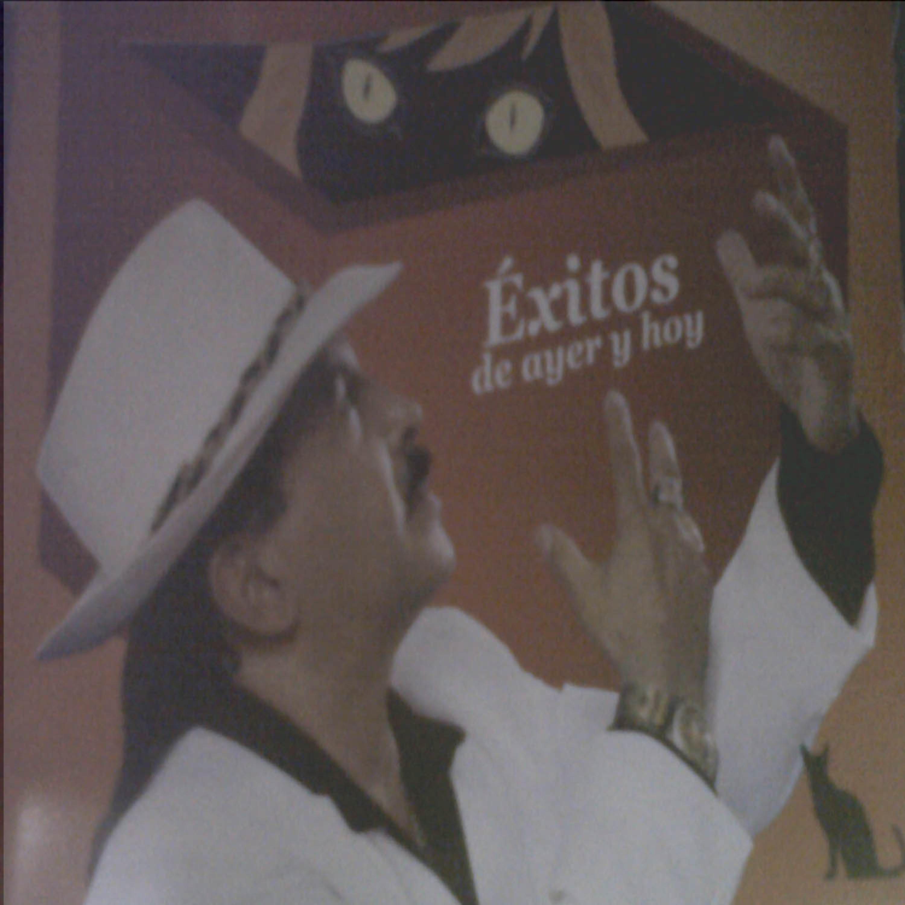 Постер альбома Exitos de Ayer y Hoy