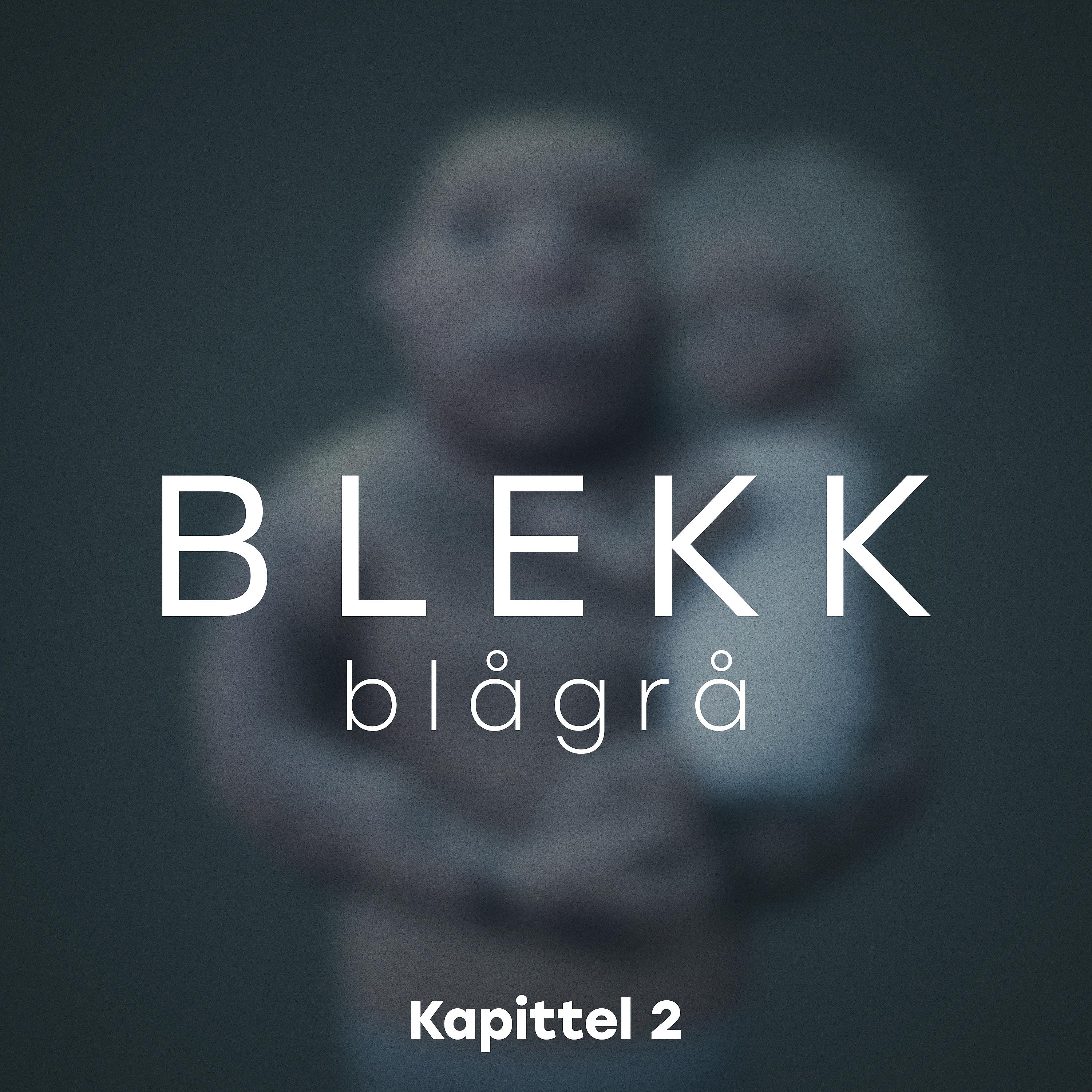 Постер альбома Blågrå - Kapittel 2