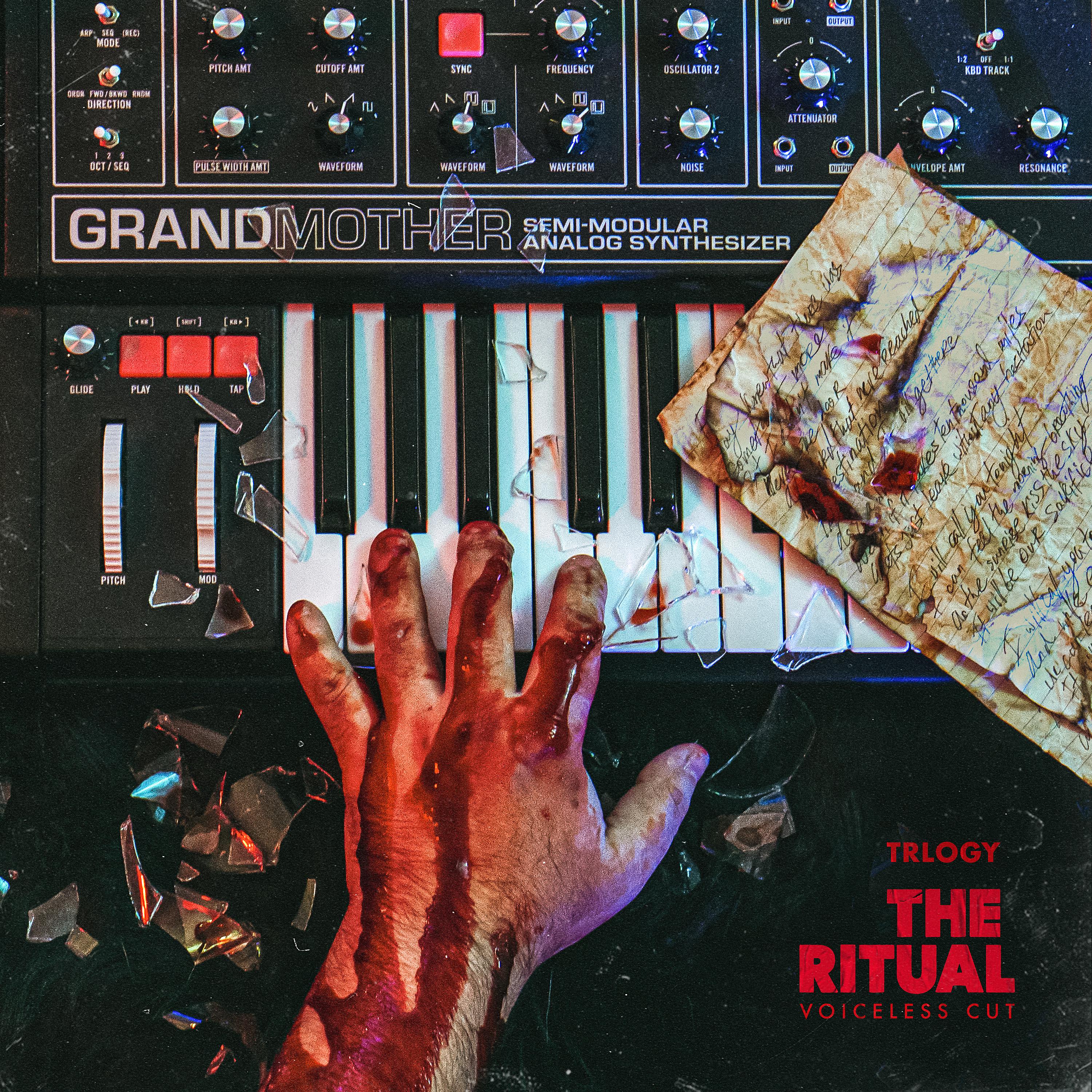 Постер альбома The Ritual (Voiceless Cut)