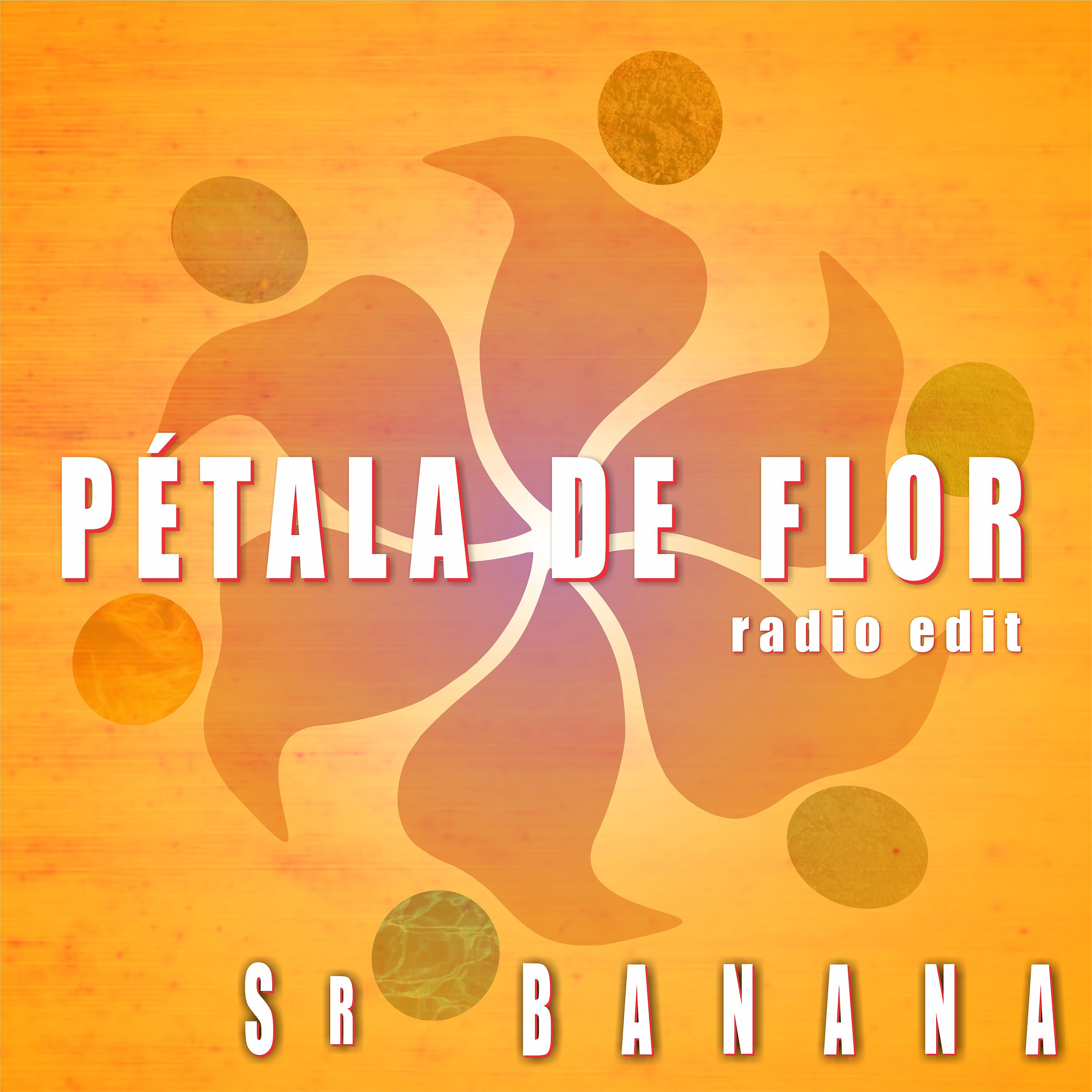 Постер альбома Pétala de Flor (Radio Edit)