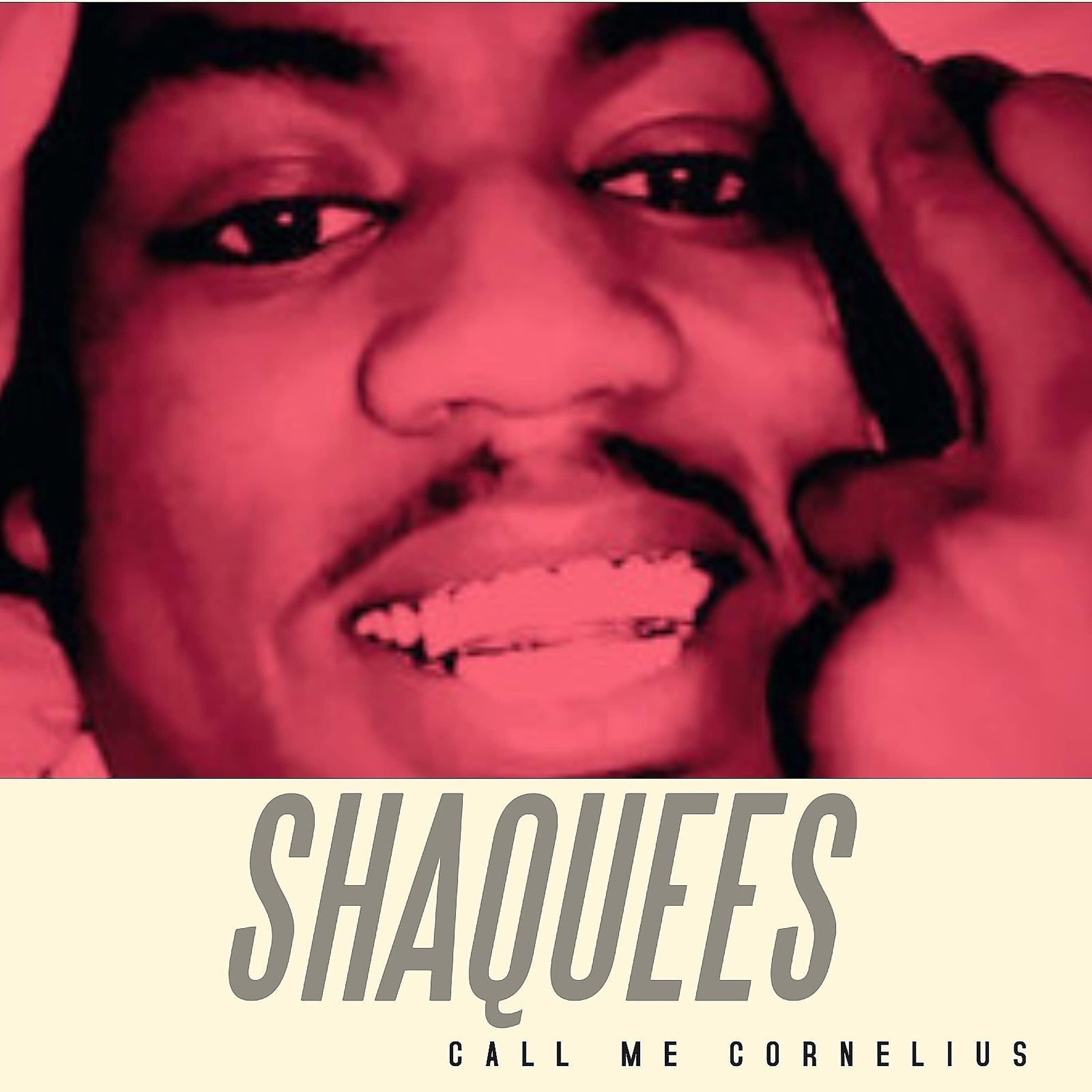 Shaquees - You a Bitch, You a Lame