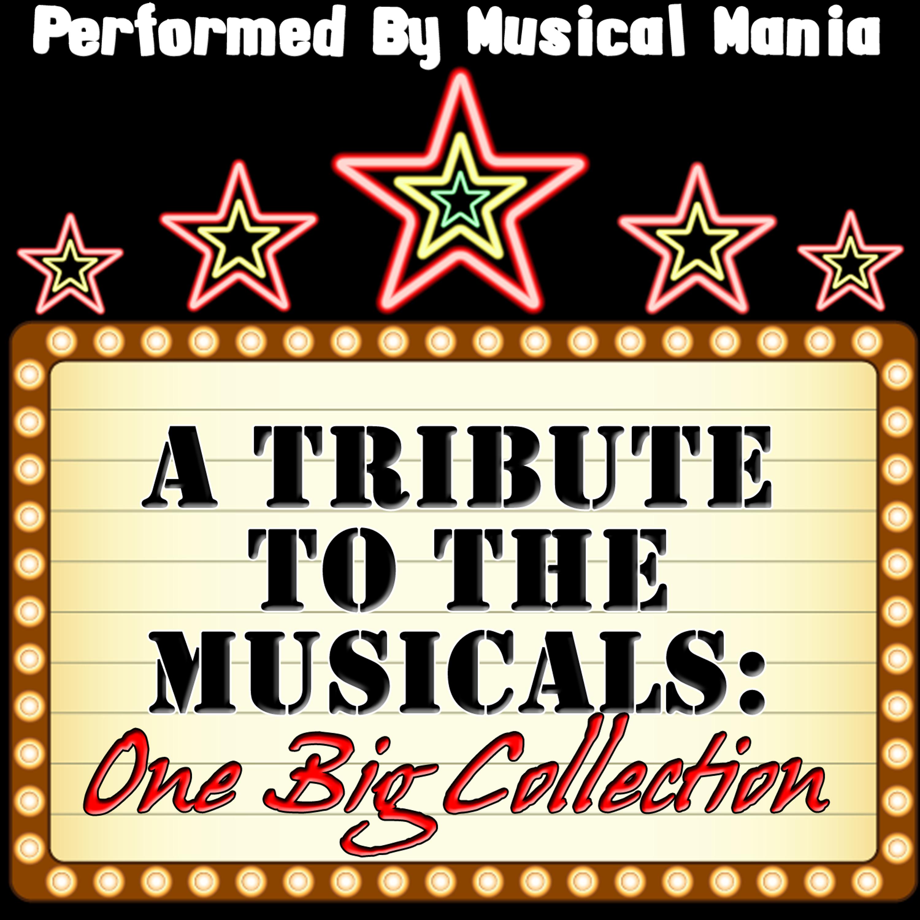 Постер альбома A Tribute To The Musicals: One Big Collection