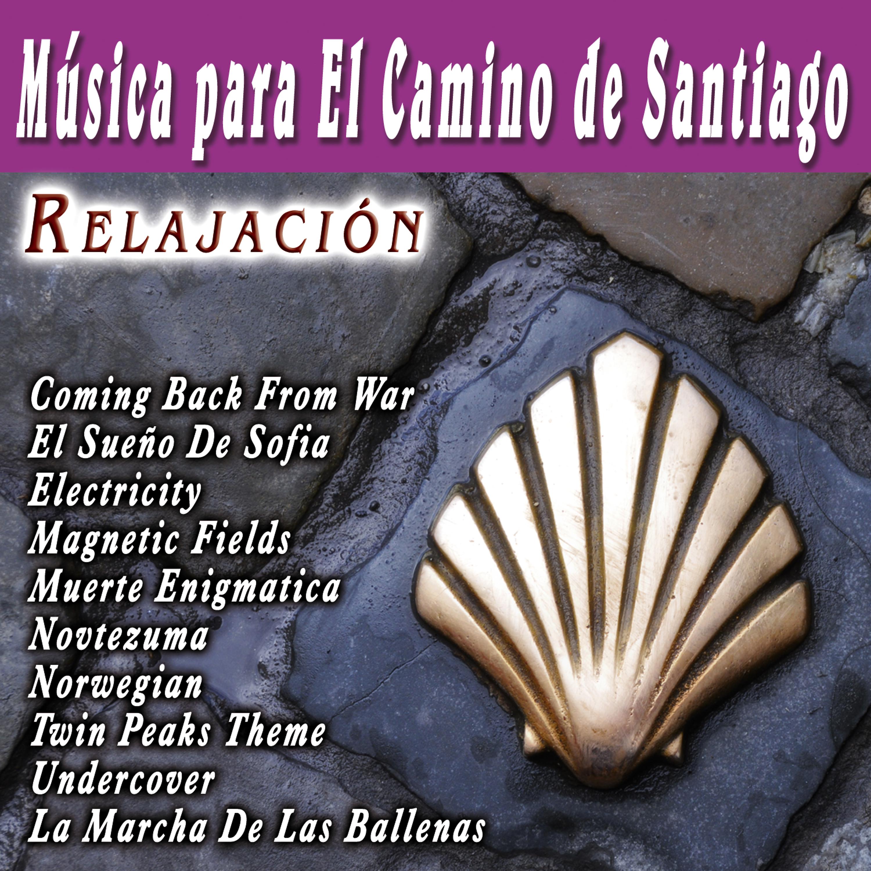 Постер альбома Musica Para El Camino De Santiago Relajacion