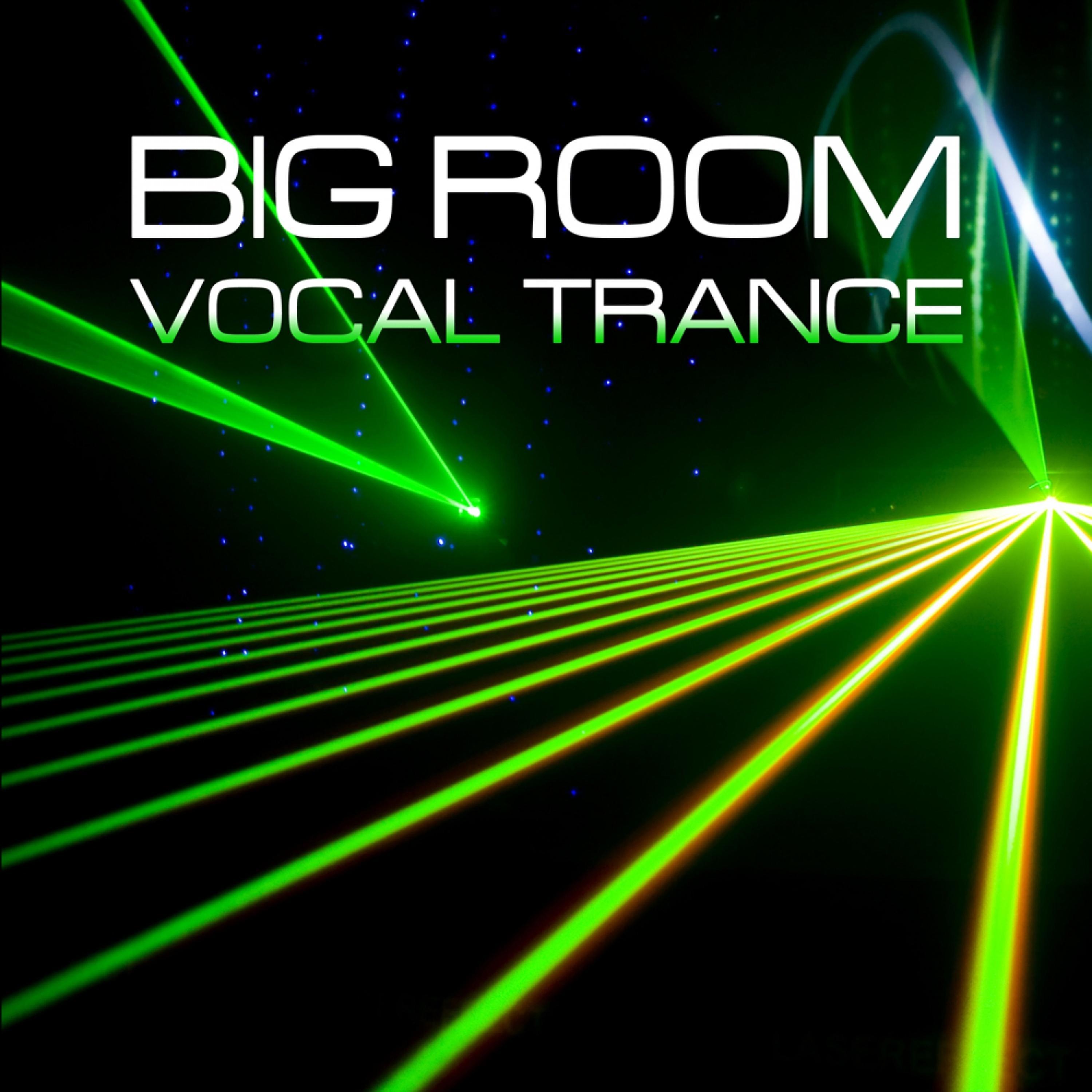 Постер альбома Big Room Vocal Trance