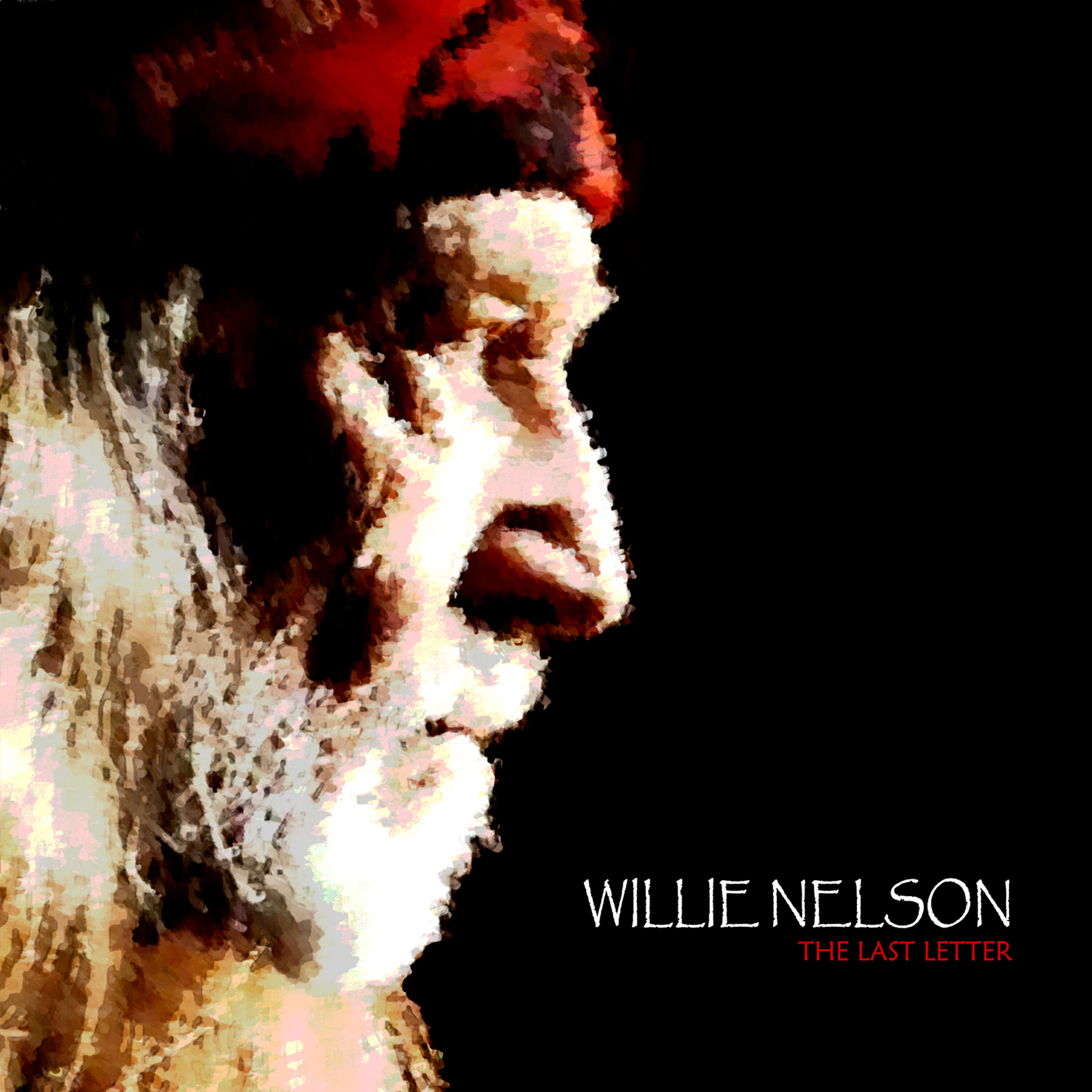 Willie Nelson - I Cant Find The Time