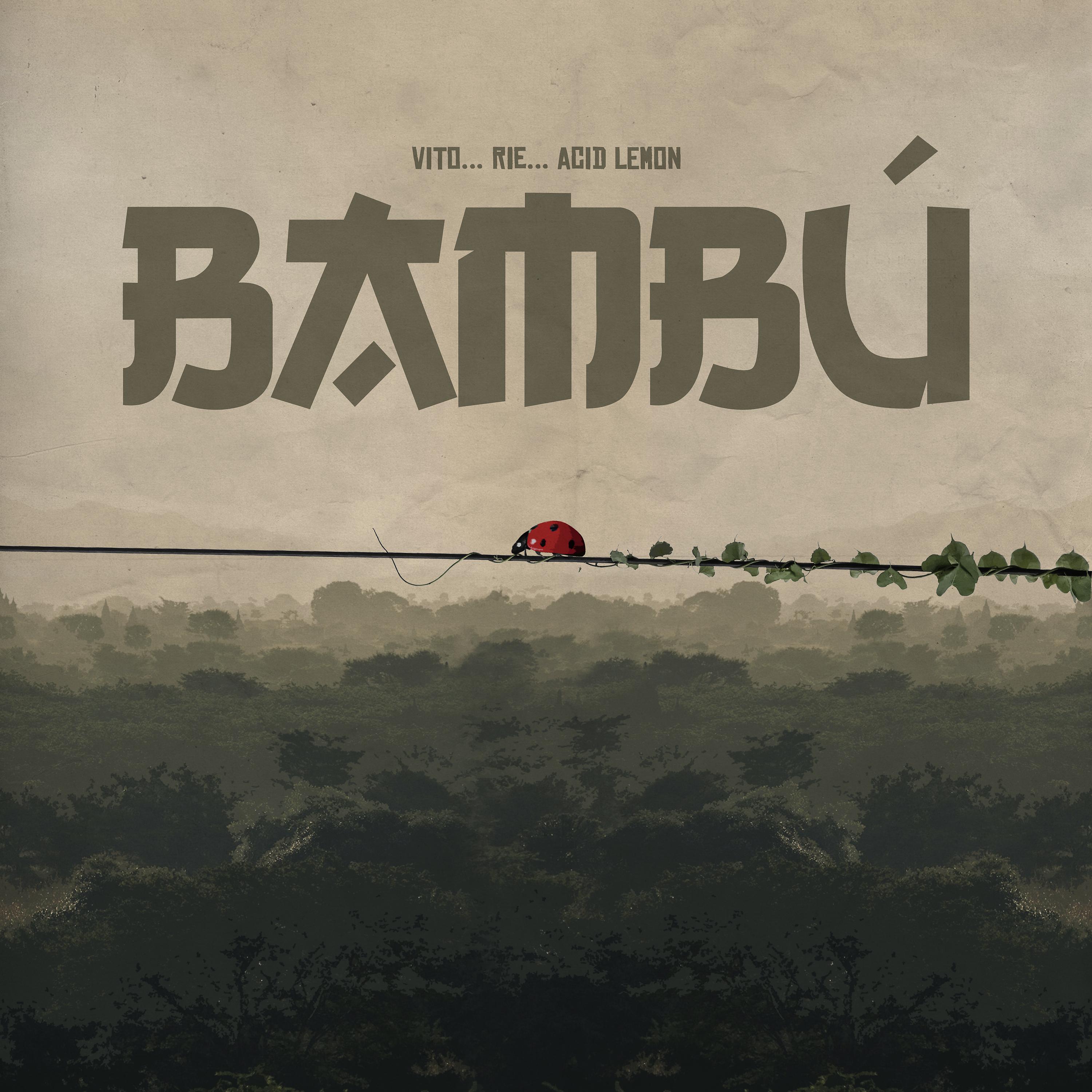 Постер альбома Bambú