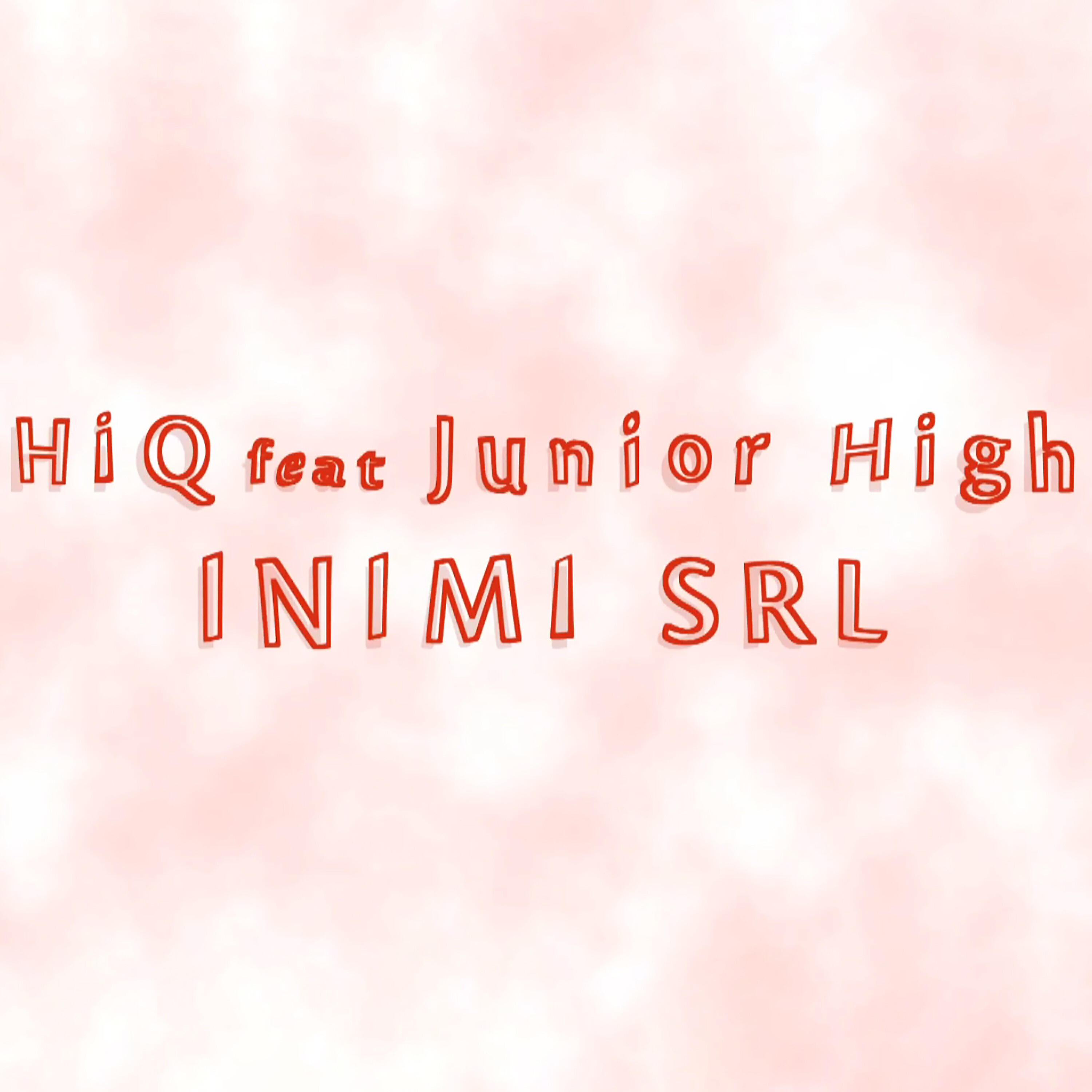 Hi-Q - Inimi SRL