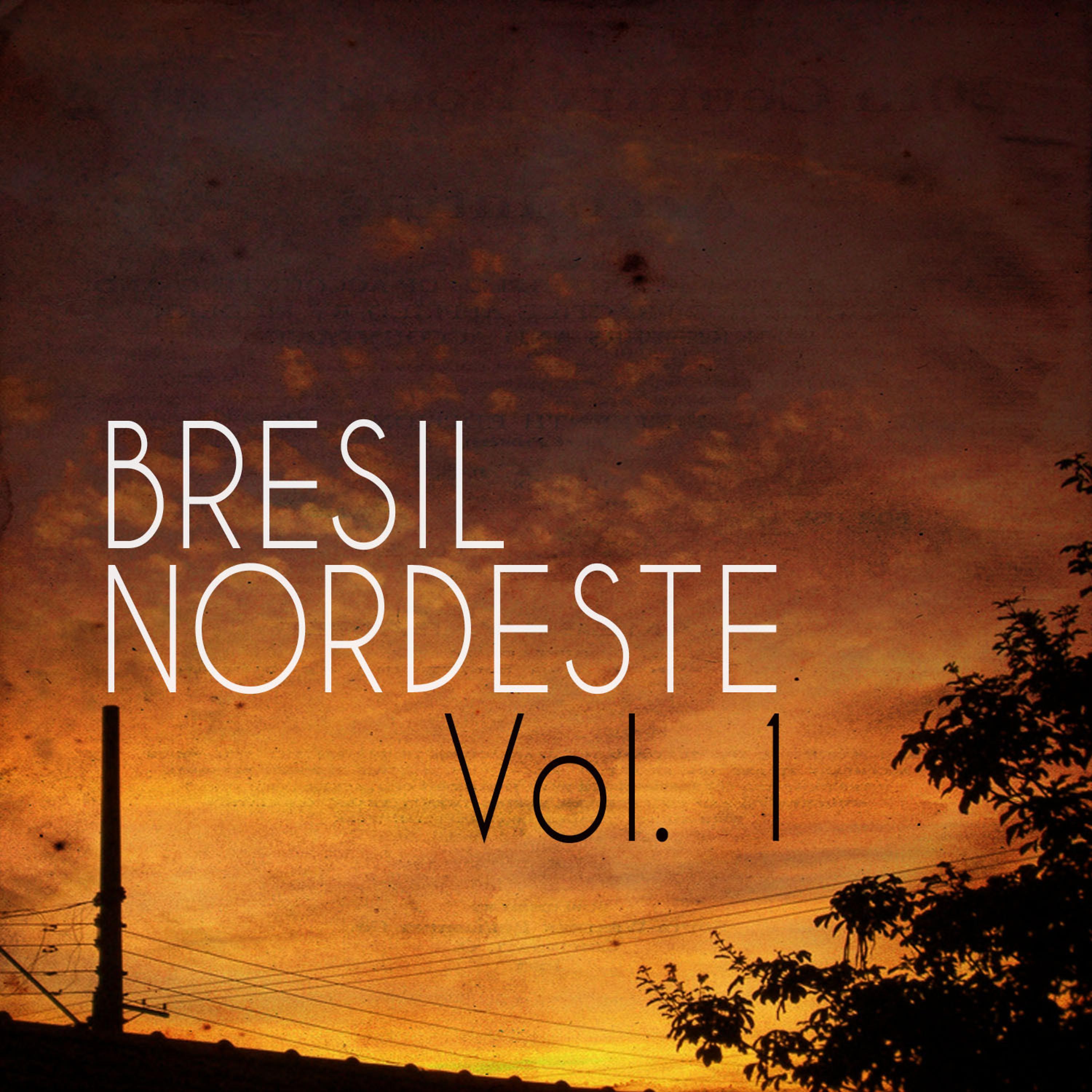 Постер альбома Bresil Nordeste, Vol. 1
