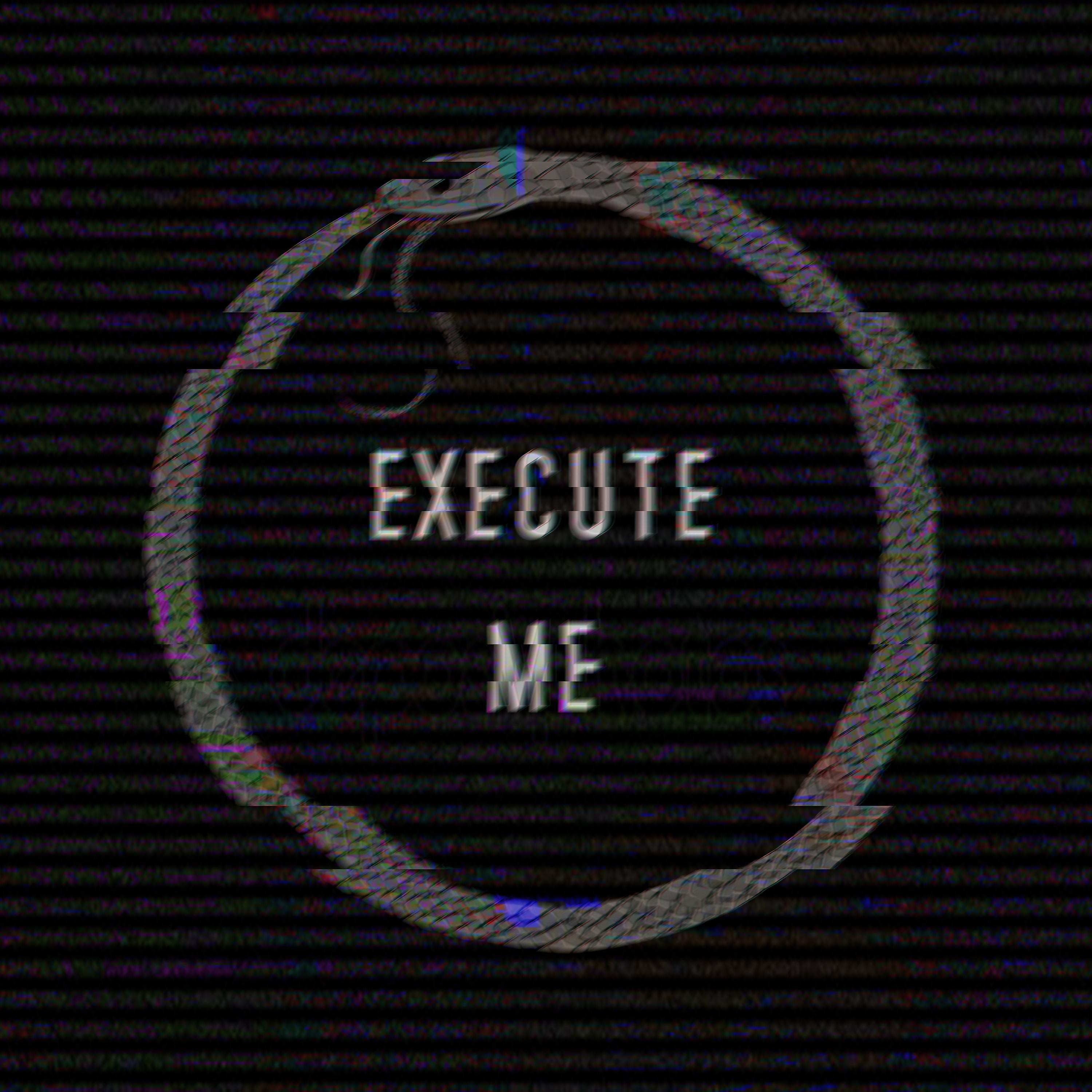 Постер альбома Execute Me