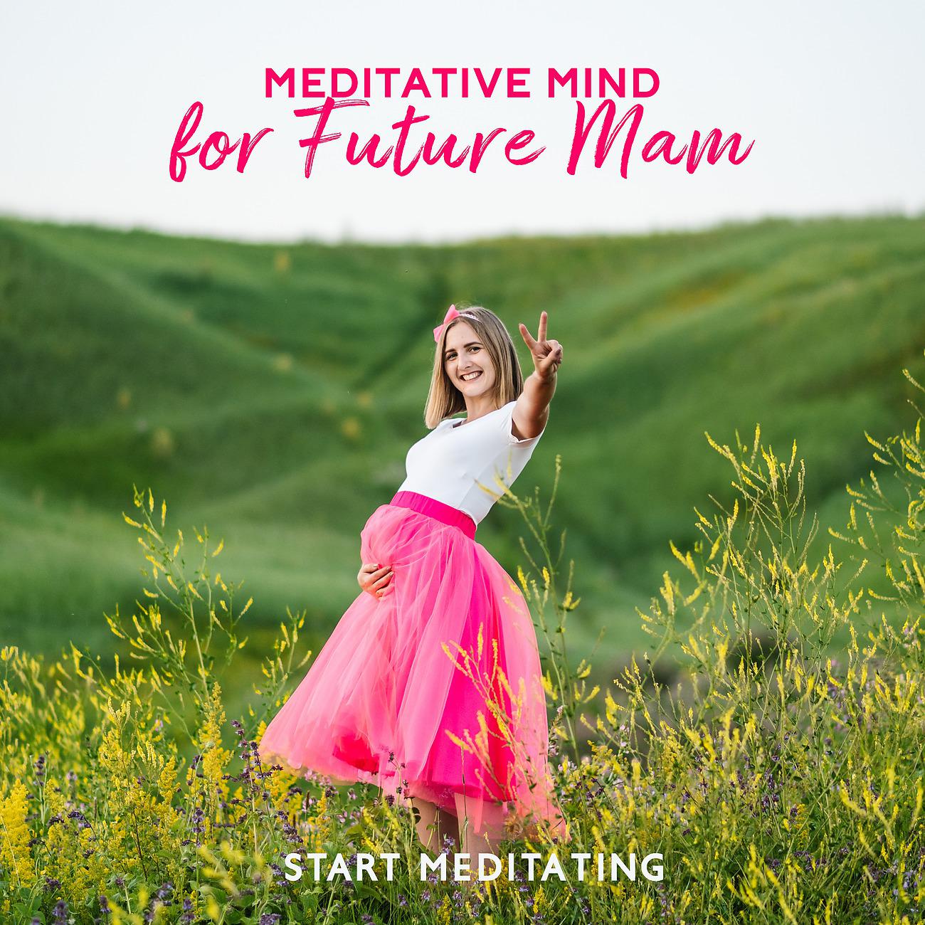 Постер альбома Meditative Mind for Future Mam