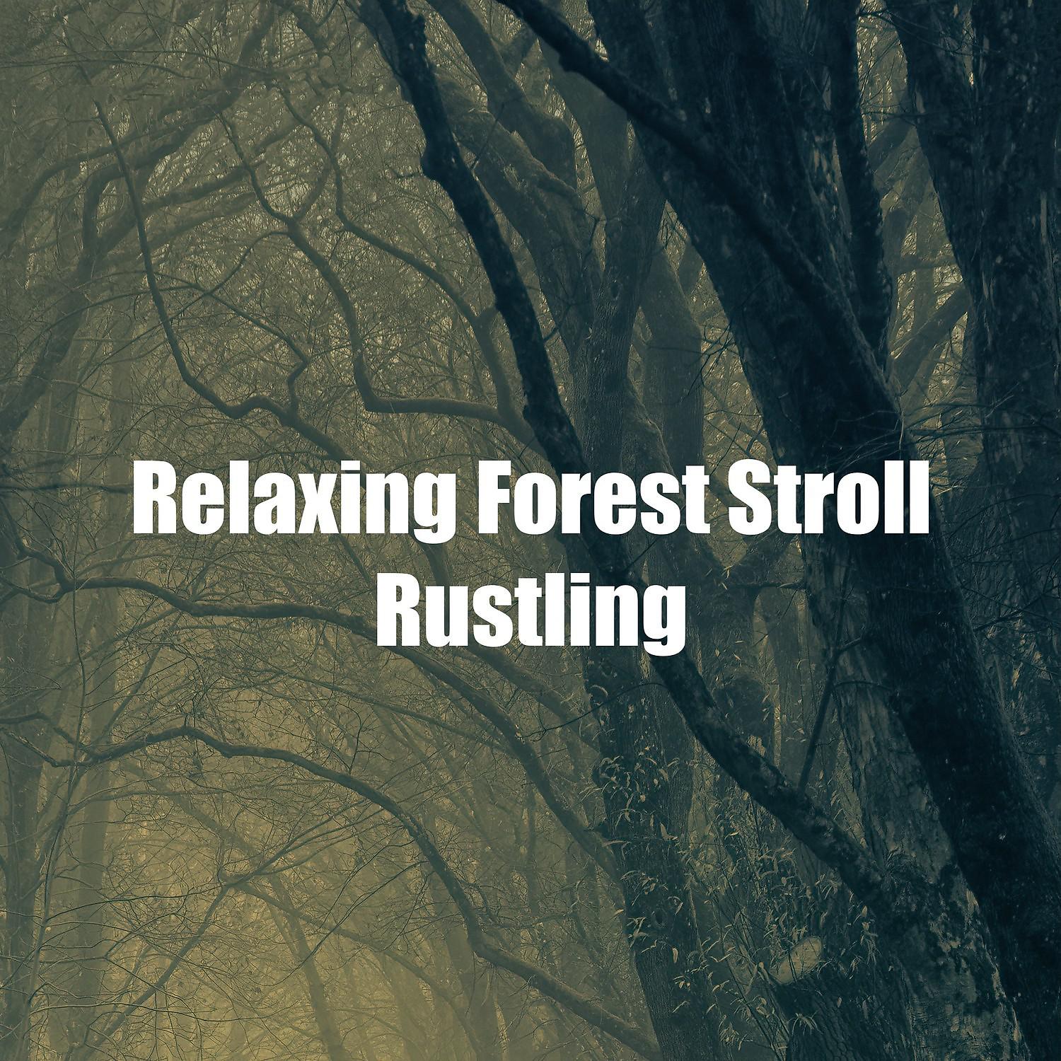 Постер альбома Relaxing Forest Stroll Rustling