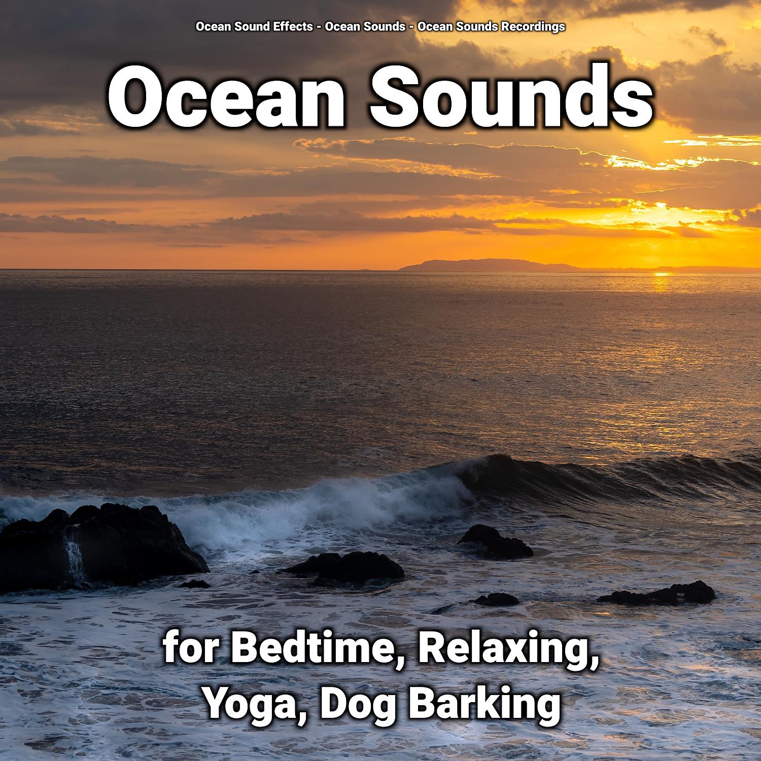 Постер альбома Ocean Sounds for Bedtime, Relaxing, Yoga, Dog Barking