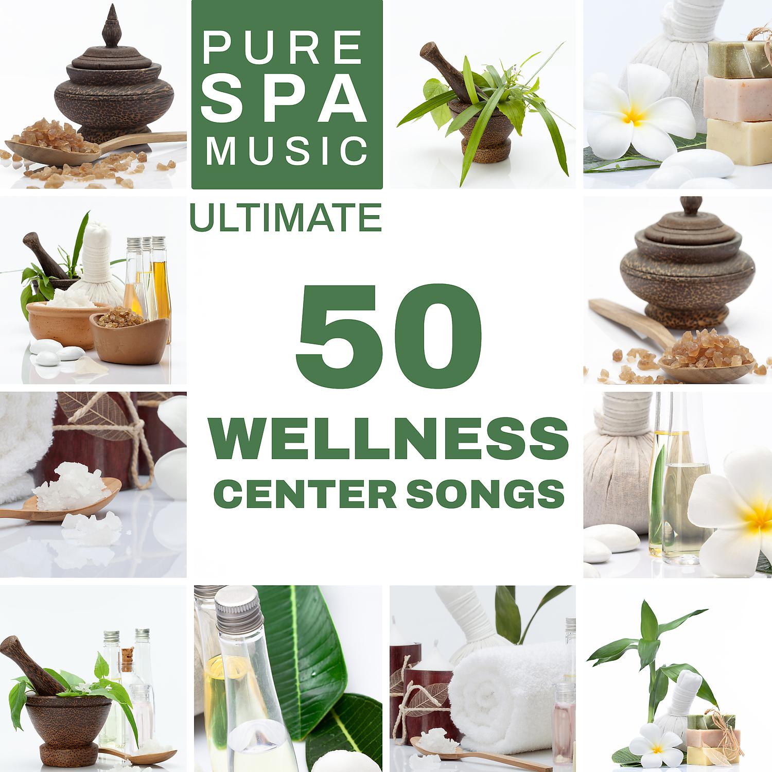 Постер альбома Pure Spa Music - Ultimate 50 Wellness Center Songs, Relaxation, Meditation, Massage and Sleep Therapy