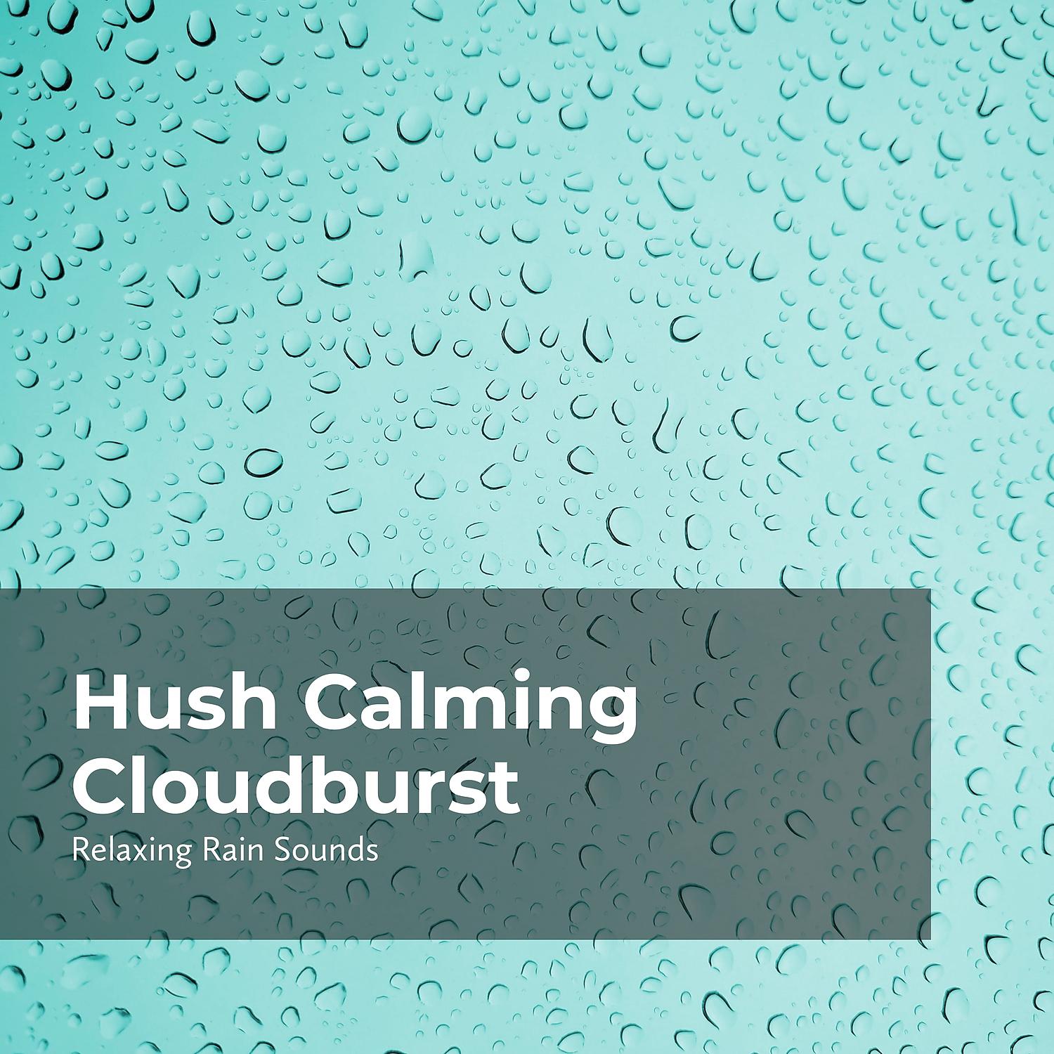 Постер альбома Hush Calming Cloudburst