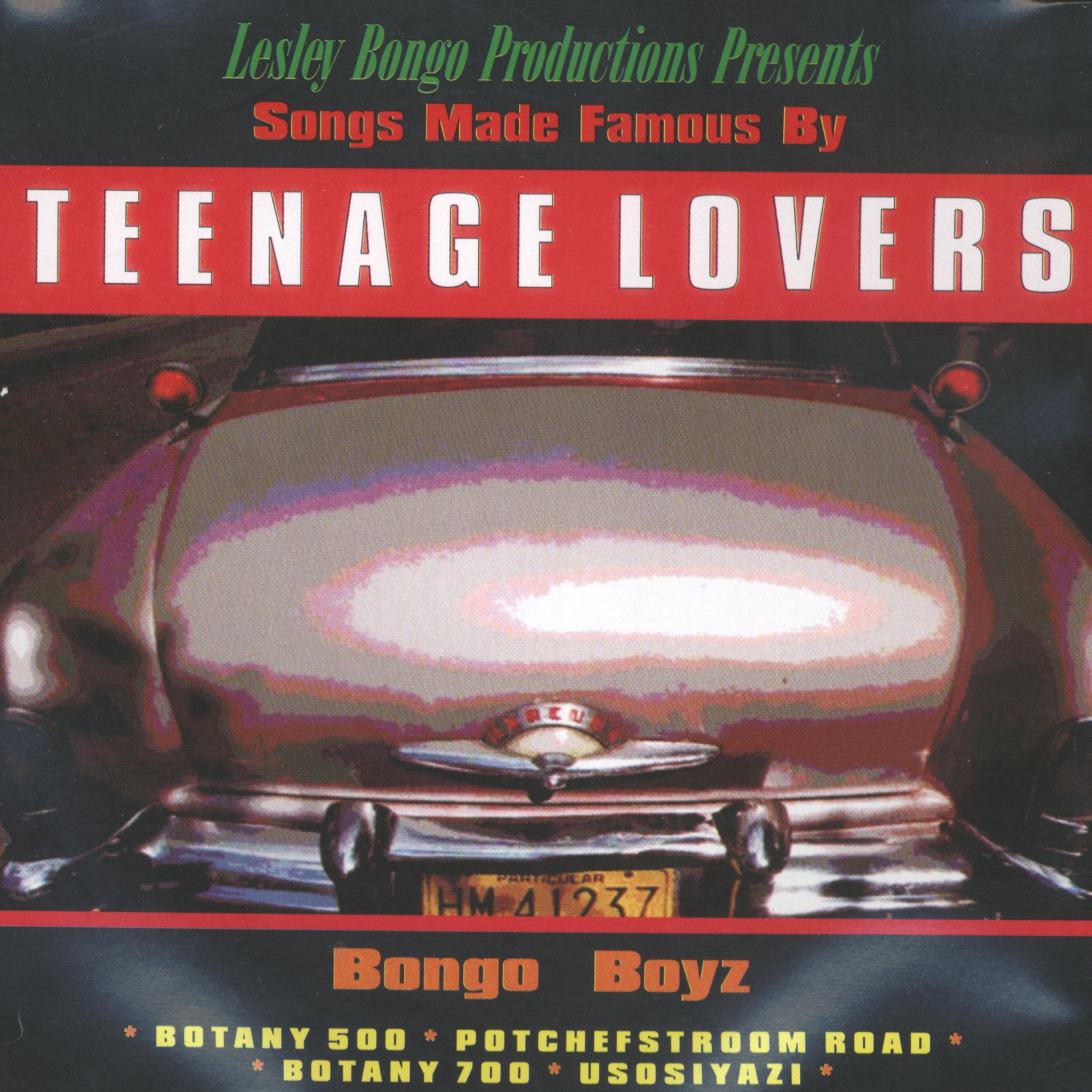 Постер альбома Lesley Bongo Productions Presents Songs Made Famous By Teenage Lovers