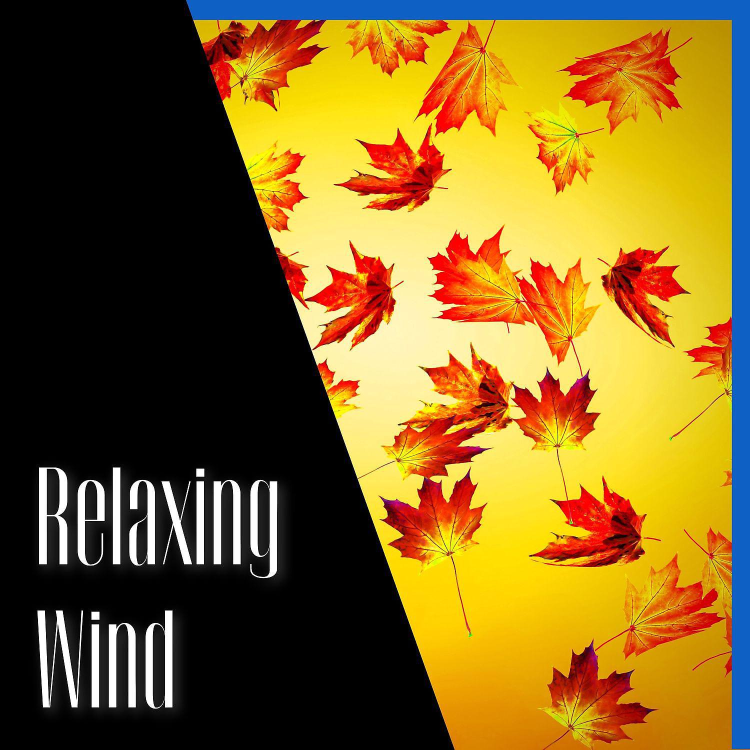 Постер альбома Relaxing Wind Noise FX