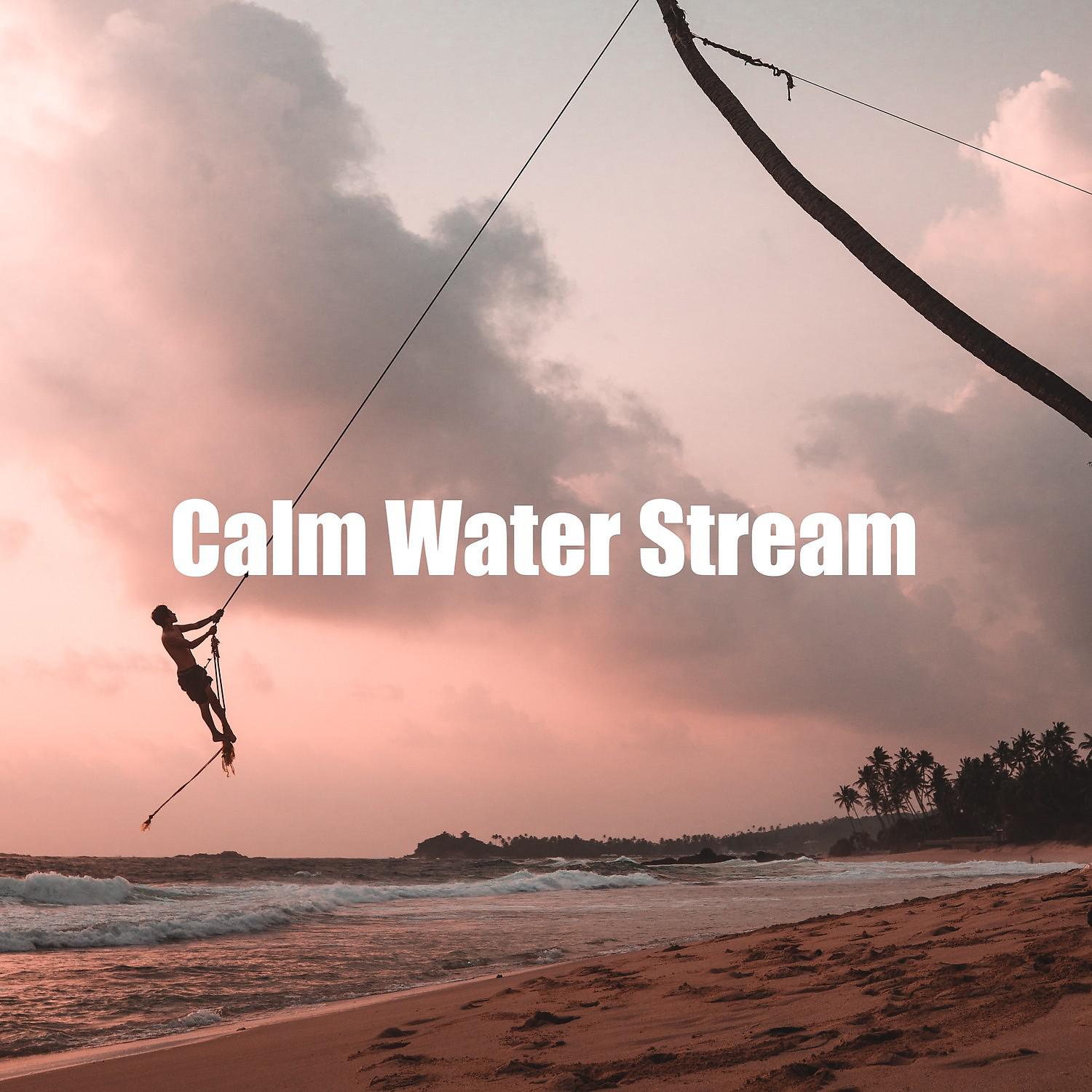 Постер альбома Calm Water Stream