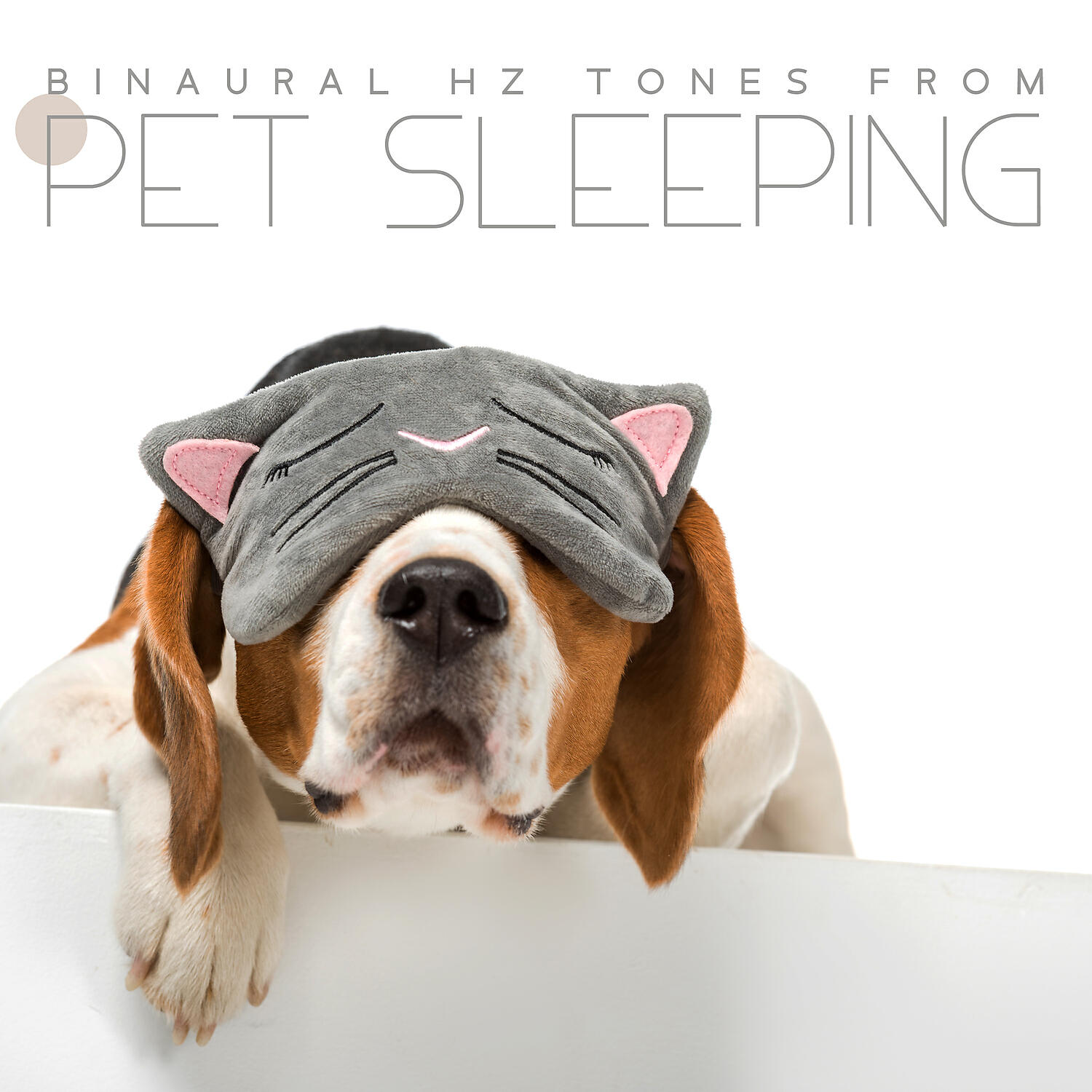 Pet Care Club - Wind Music Therapy
