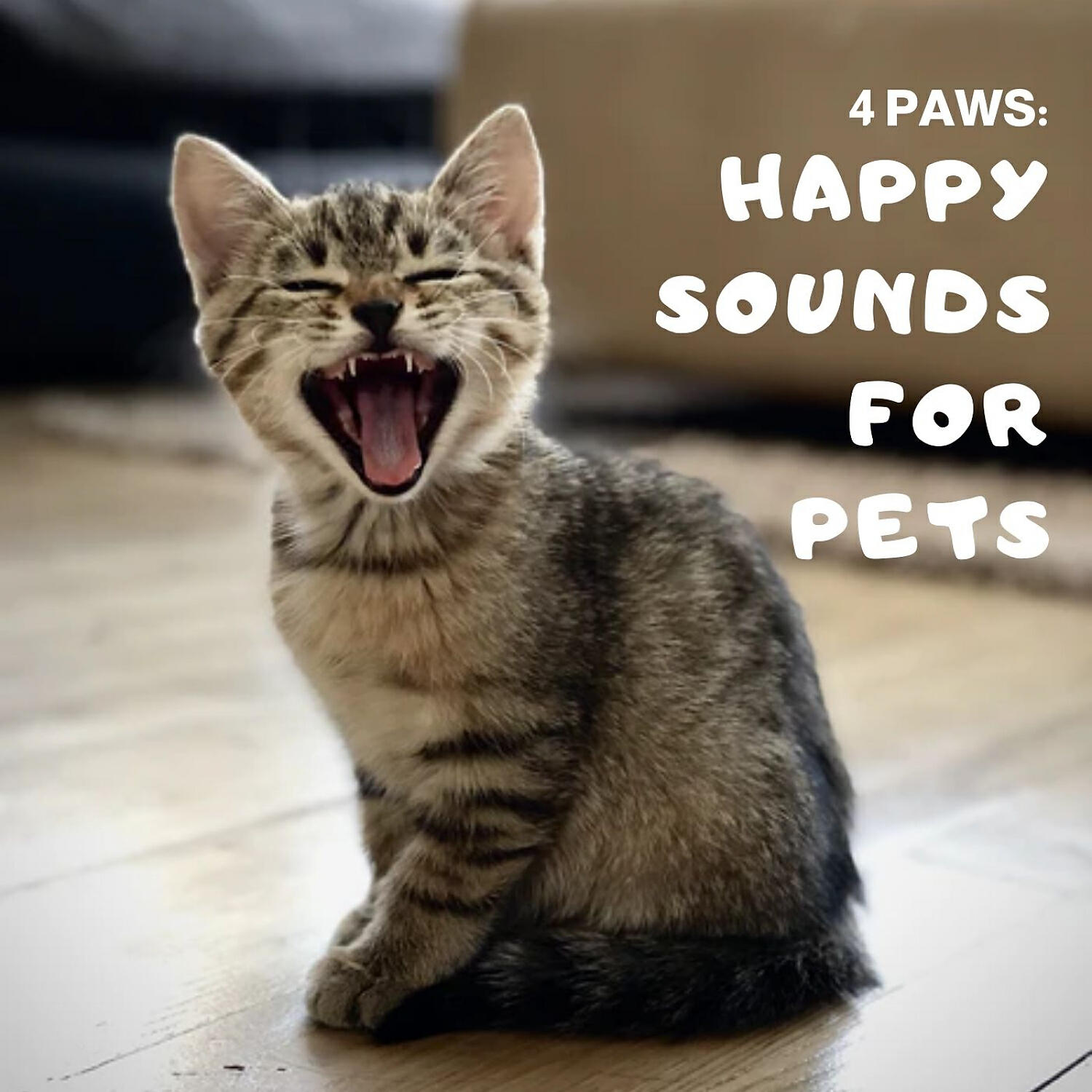 Pet Care Music Therapy - Estival Tune
