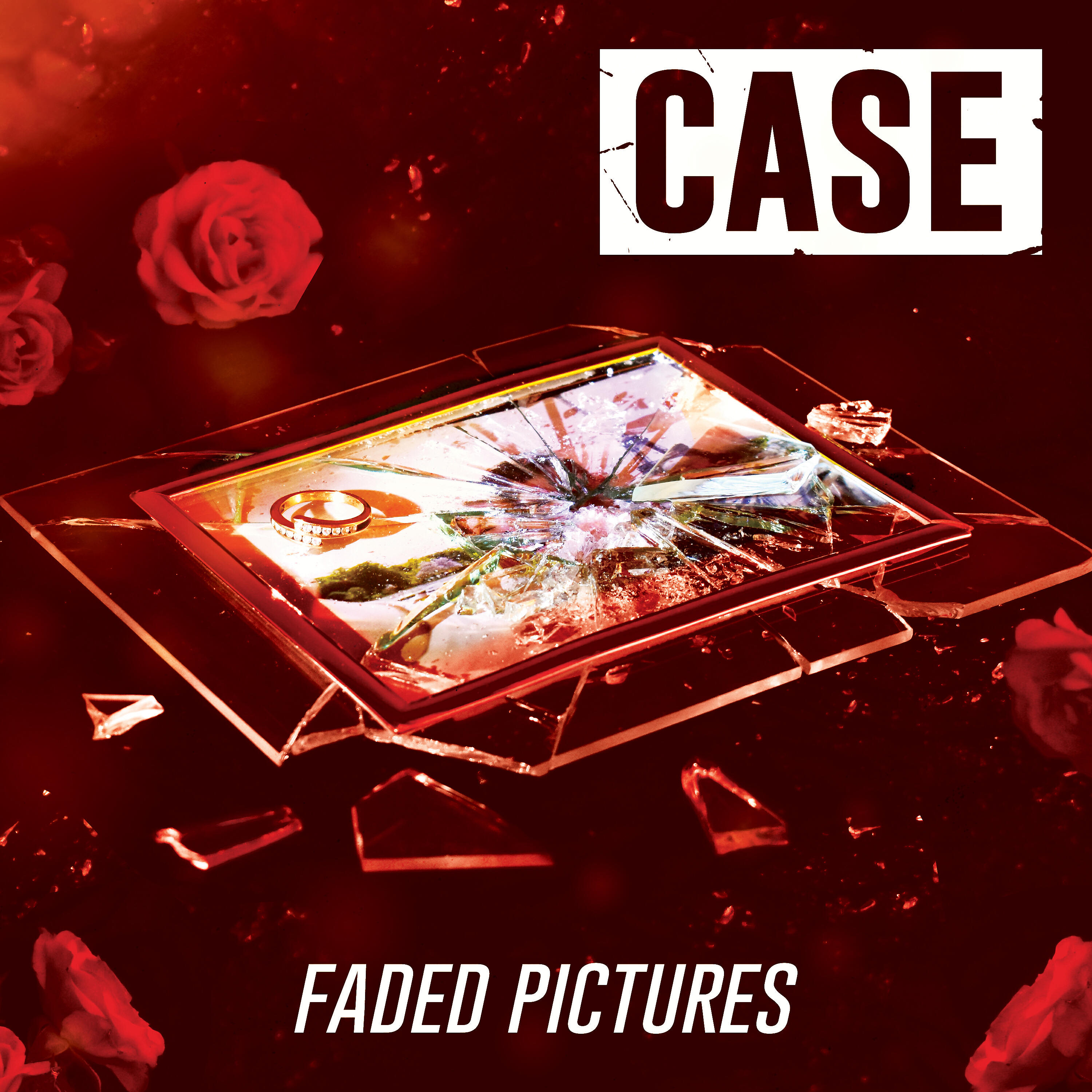 Песня cases