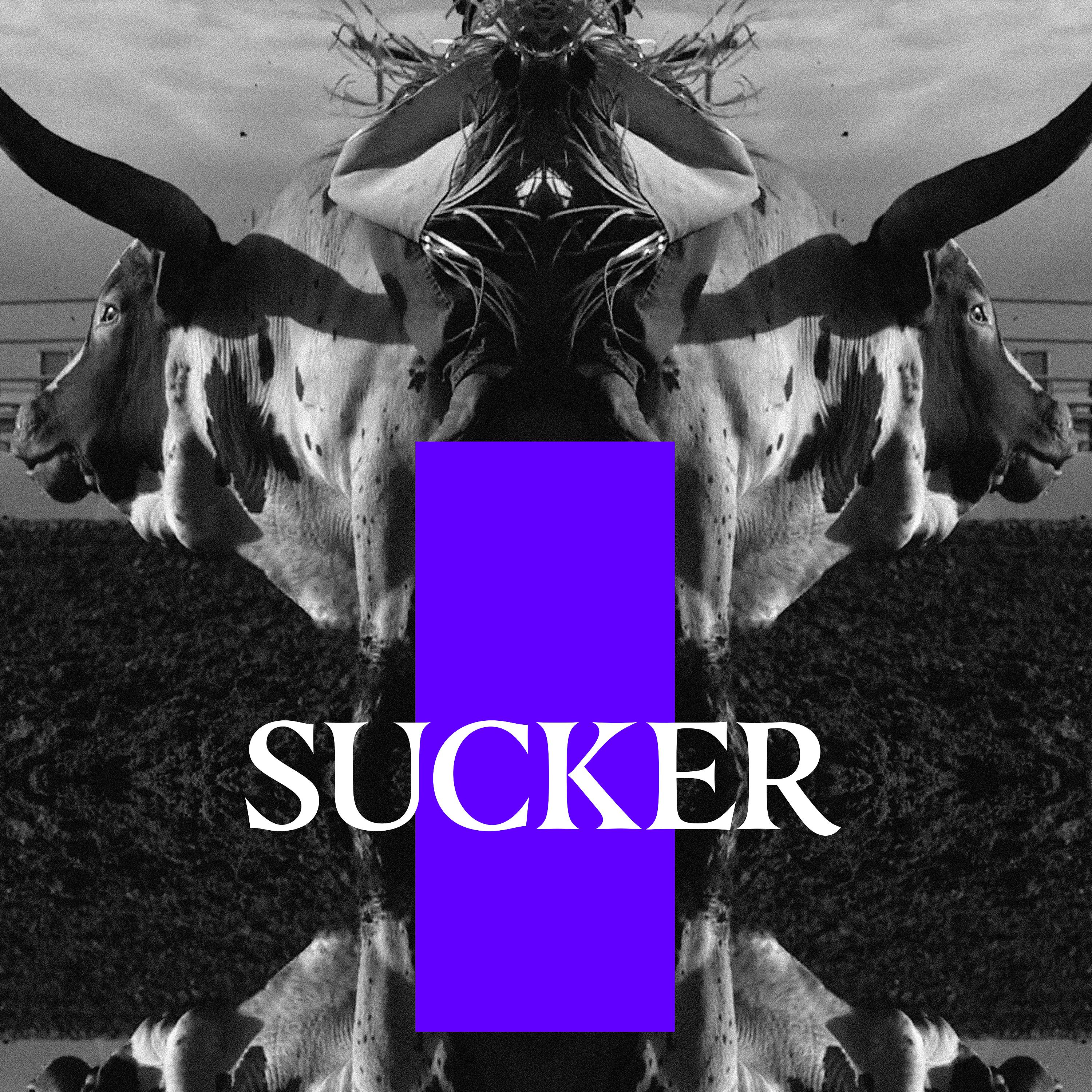 Постер альбома Sucker