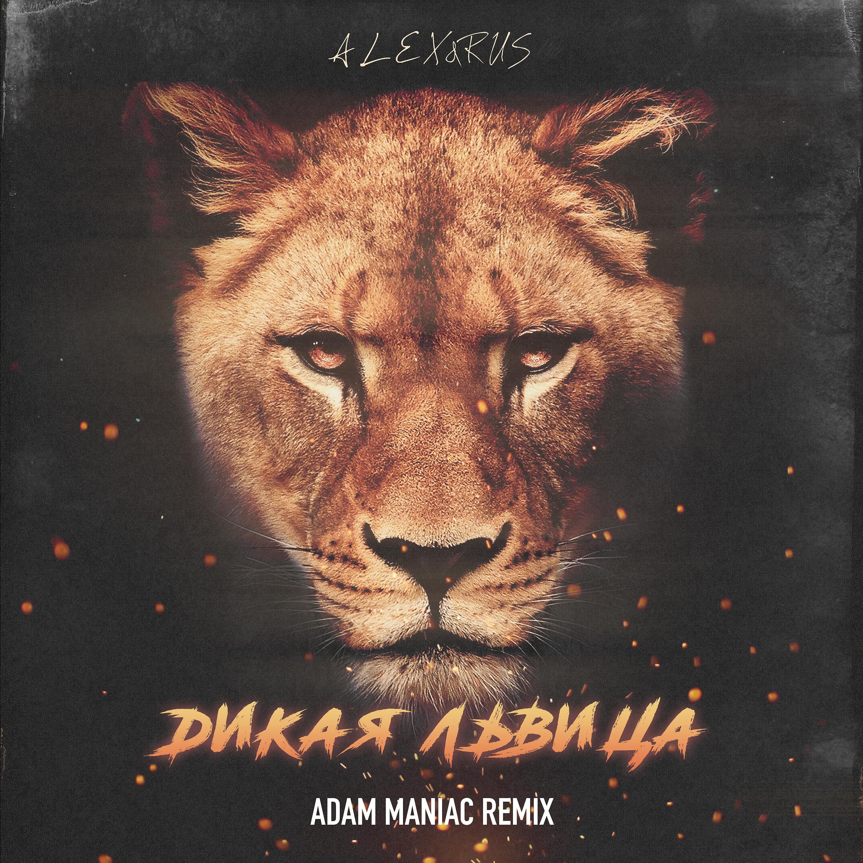 Постер альбома Дикая львица (Adam Maniac Remix)