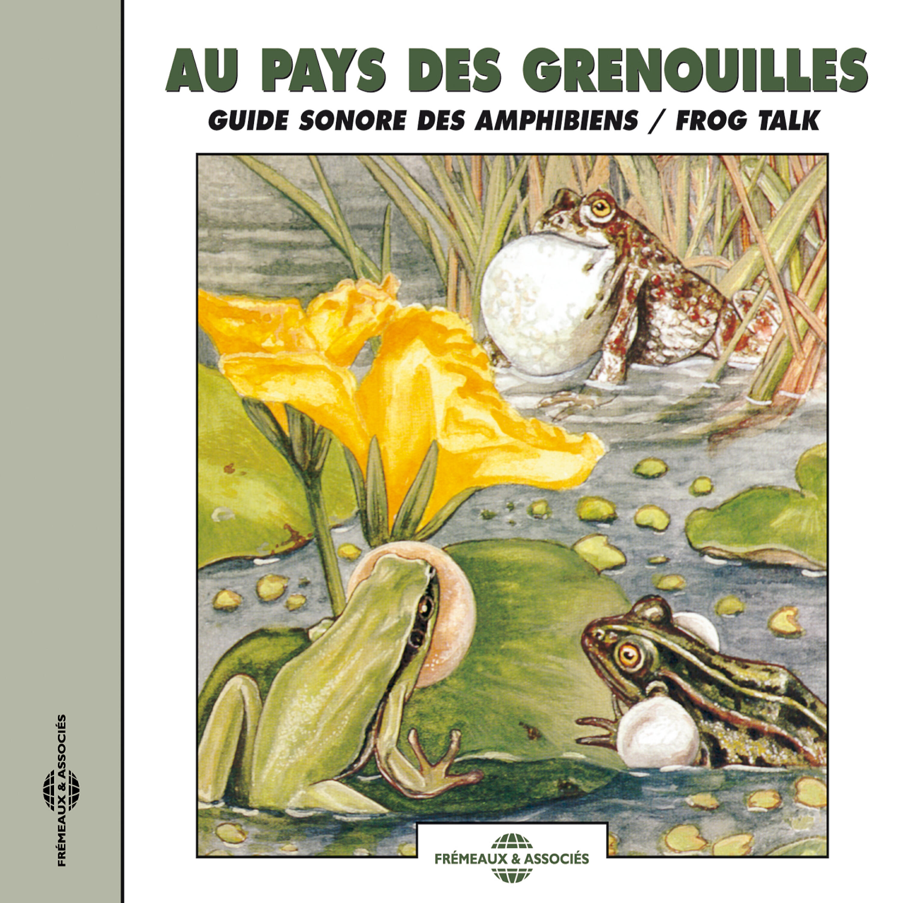 Green Tree Frogs - Green Tree Frogs And Green Toads
