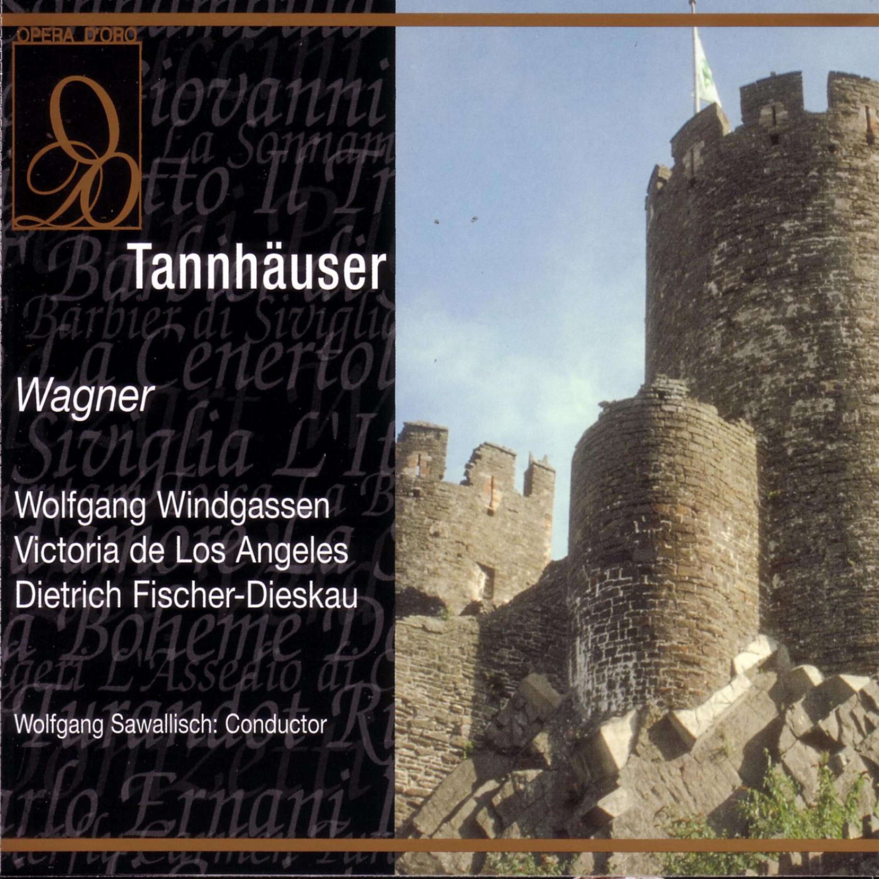 Постер альбома Tannhauser