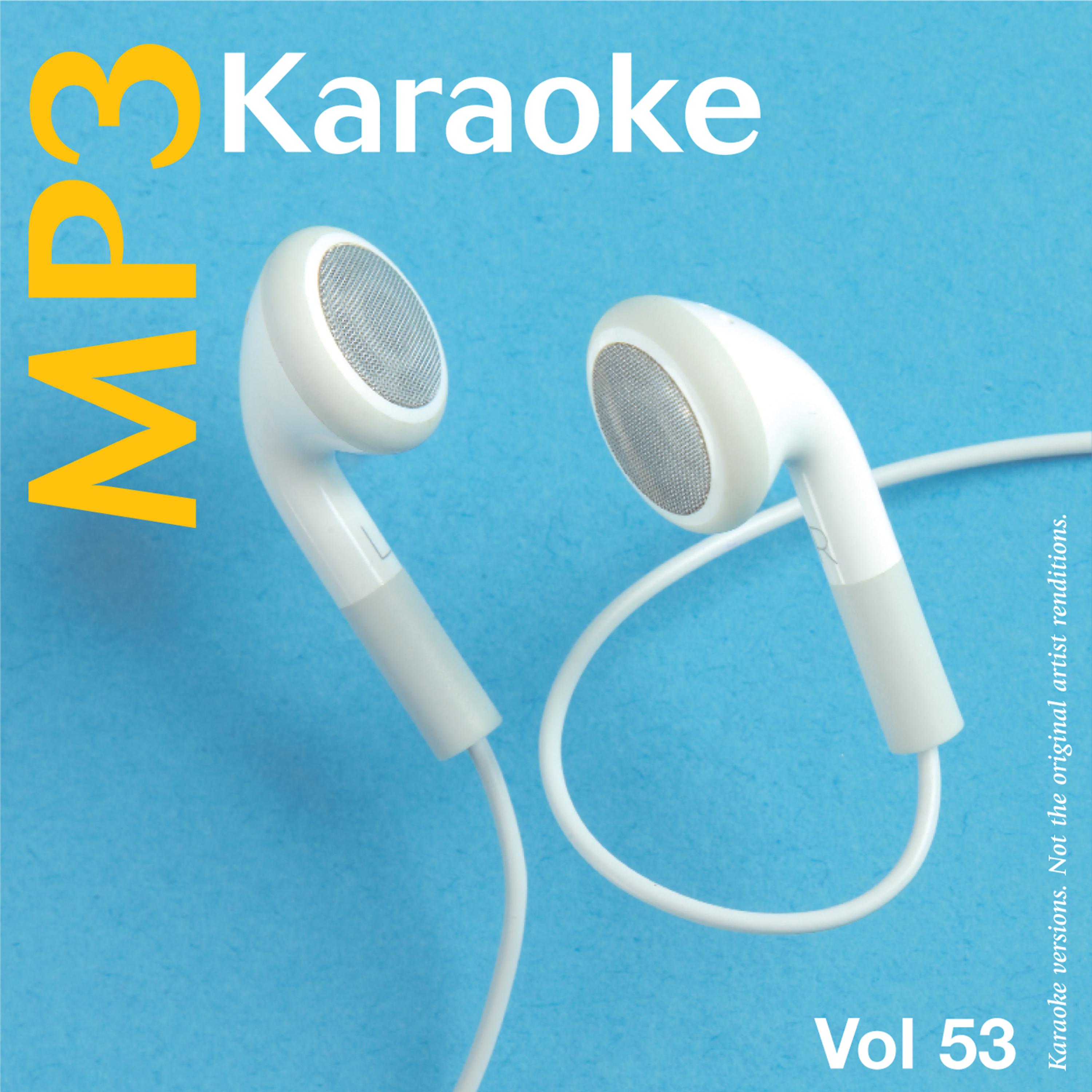 Постер альбома MP3 Karaoke Vol.53