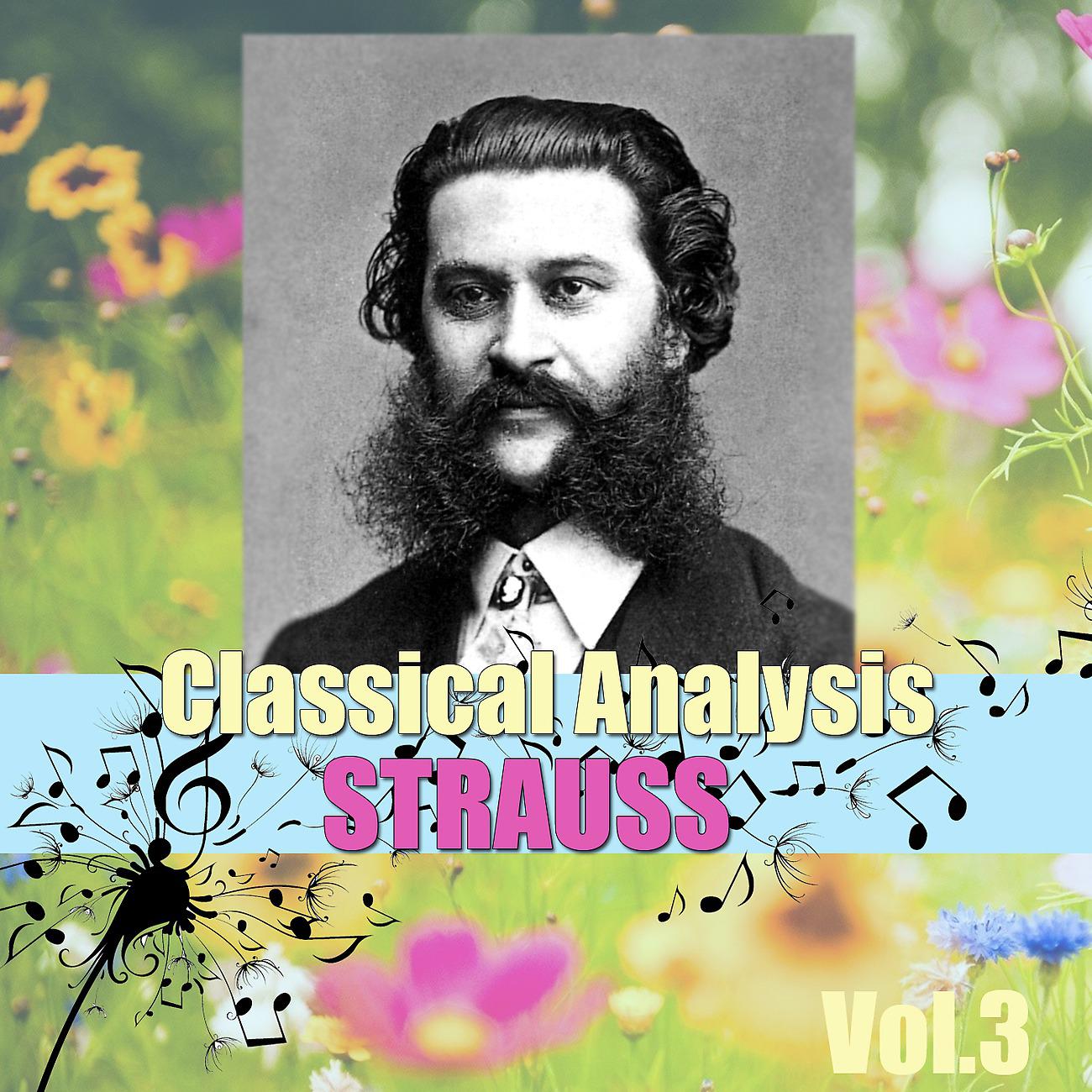 Постер альбома Classical Analysis: Strauss, Vol.3