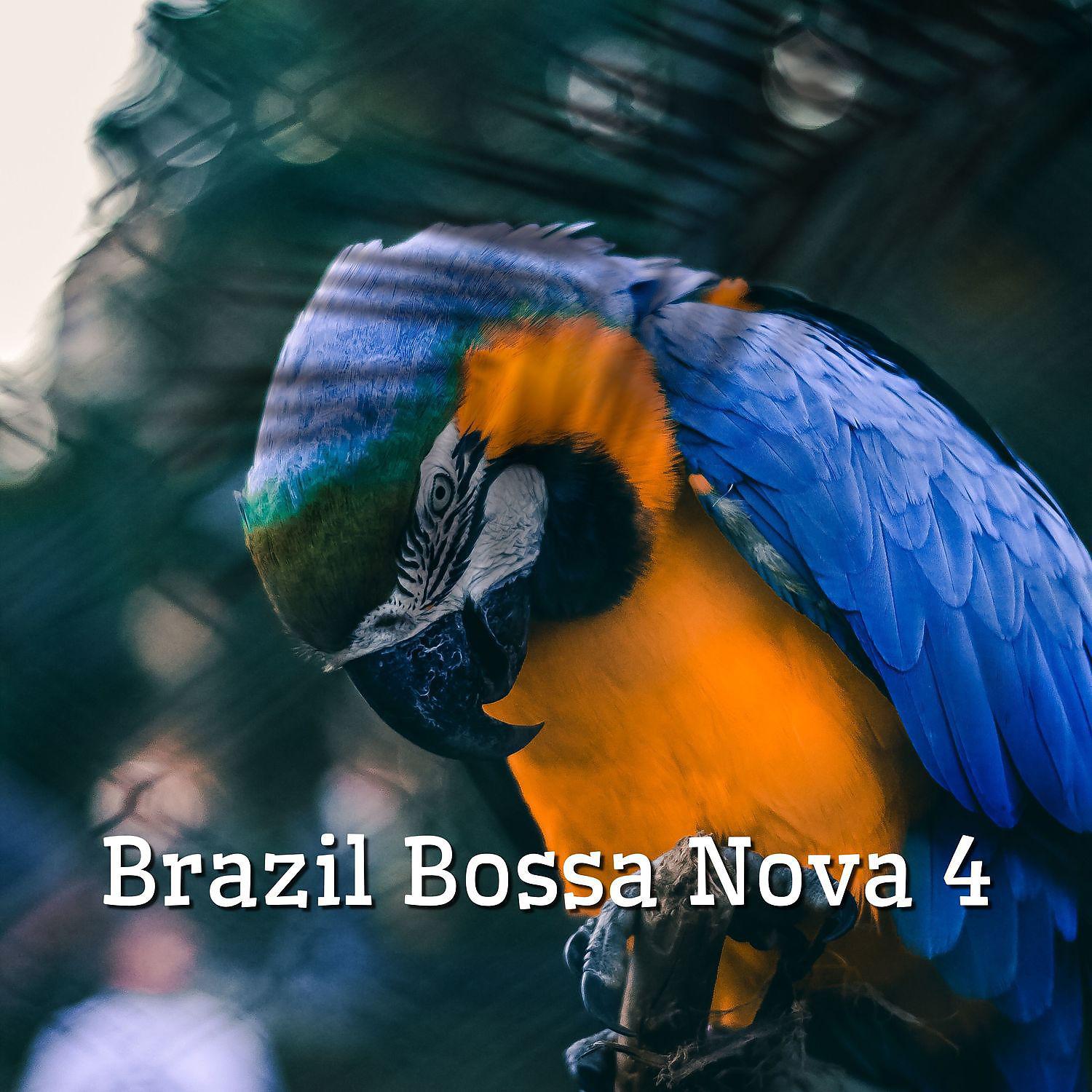 Постер альбома Brazil Bossa Nova 4