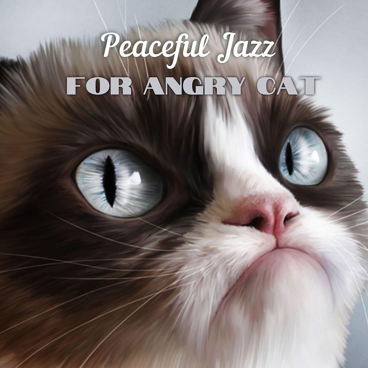 Music For Cats Peace - For Cats Ears Only
