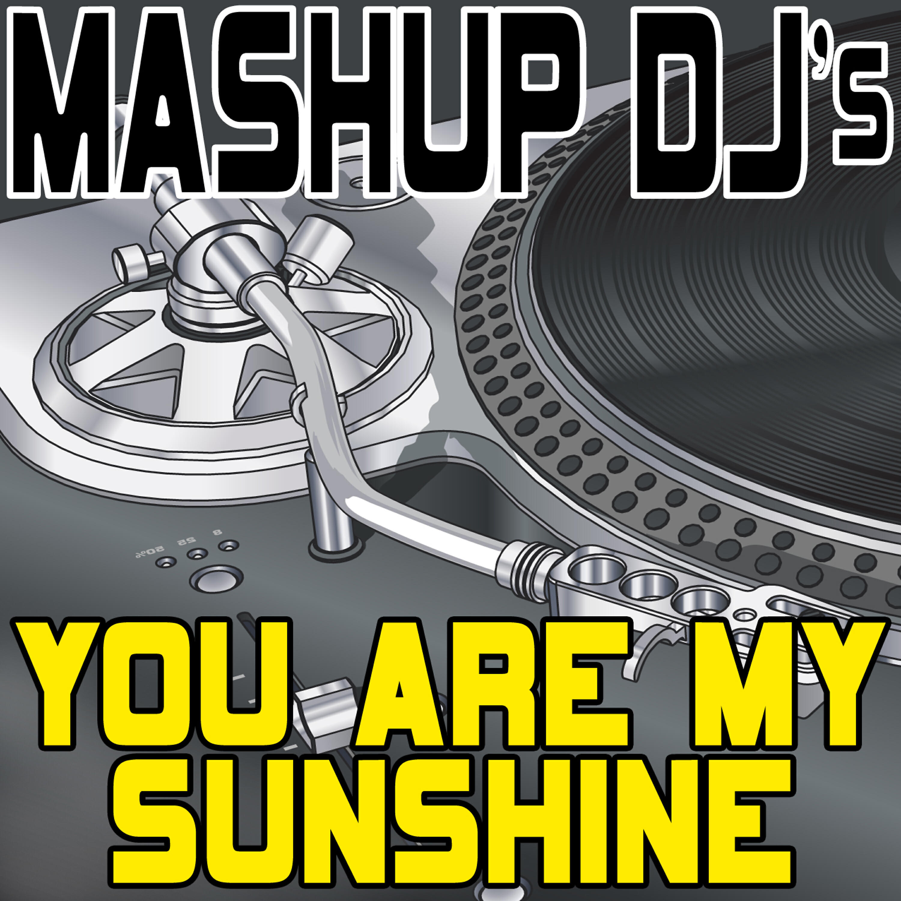 Mashup DJ's - You Are My Sunshine (Instrumental Mix) [Re-Mix Tool]