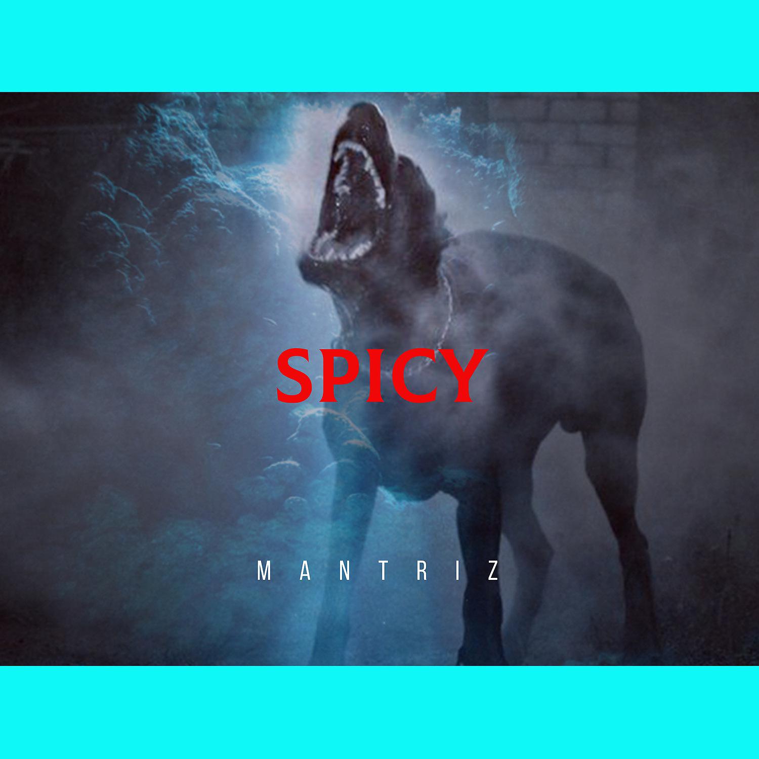 Постер альбома Spicy