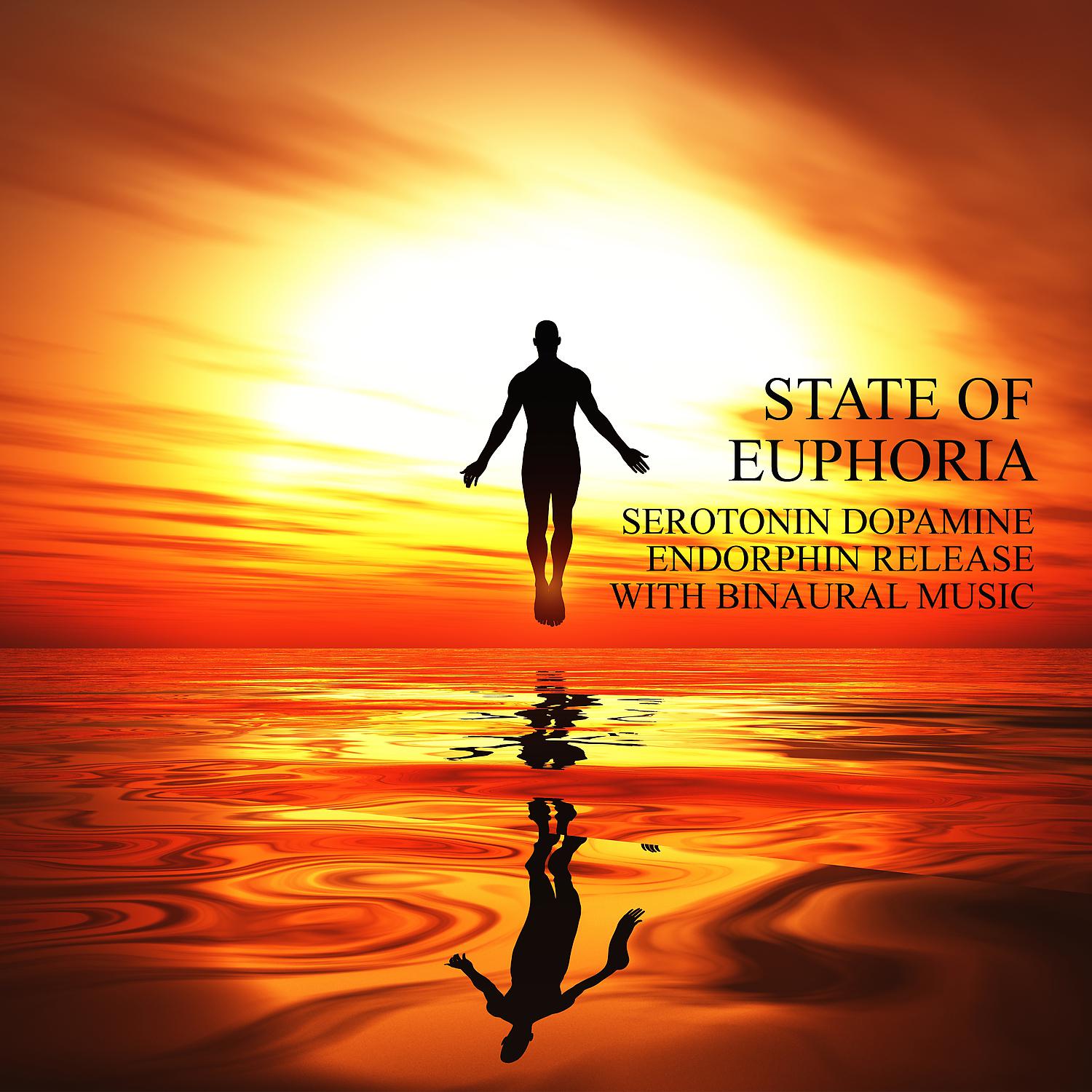 Постер альбома State Of Euphoria: Serotonin Dopamine Endorphin Release With Binaural Music