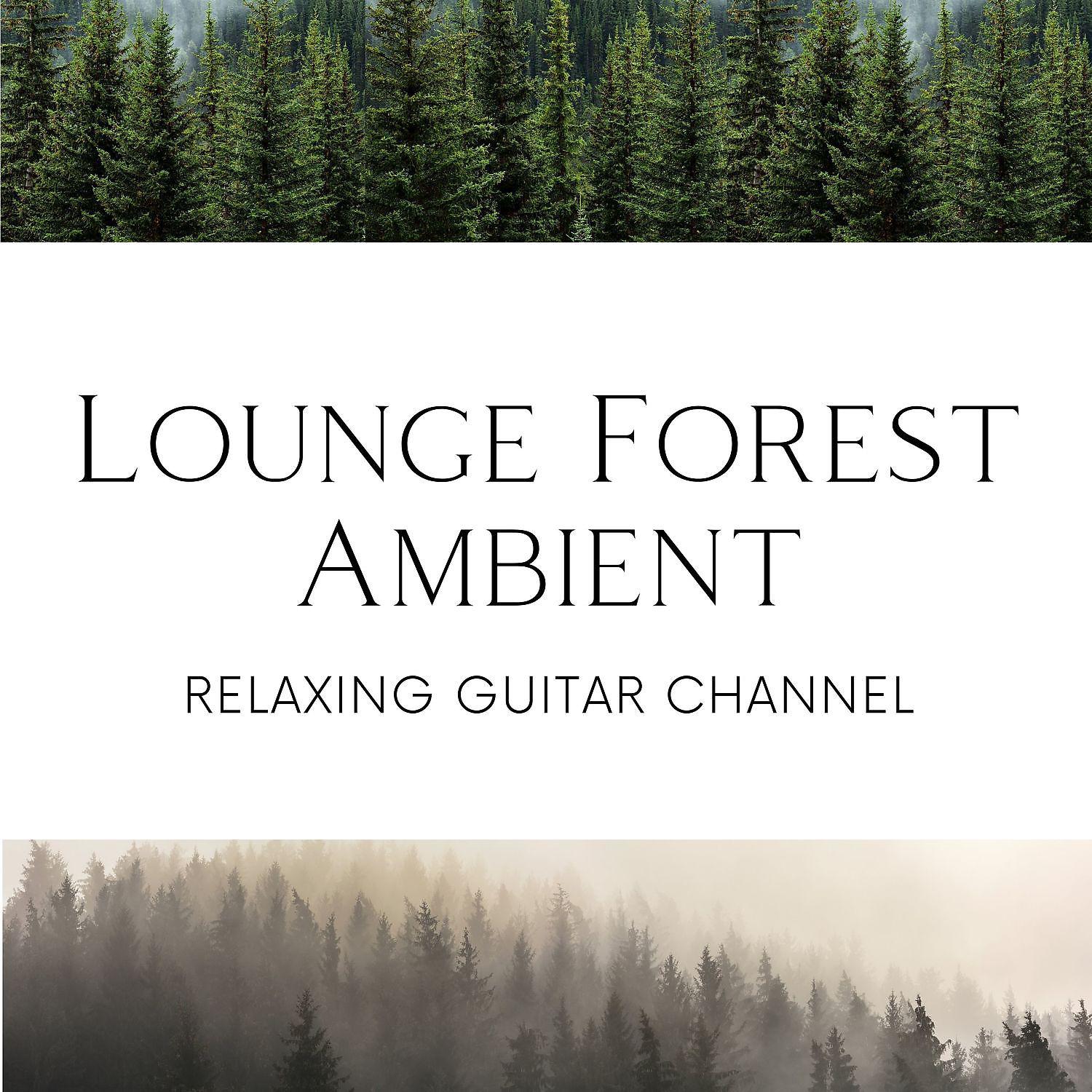 Постер альбома Lounge Forest Ambient