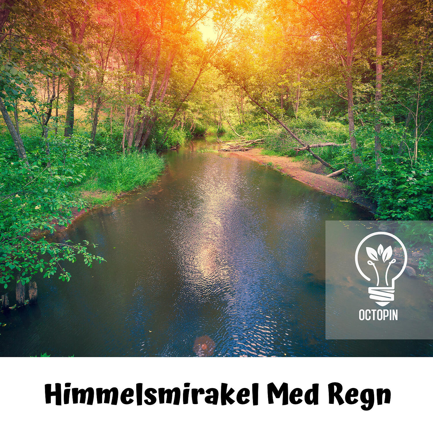 Octopin - Hjarnstimulering Runy