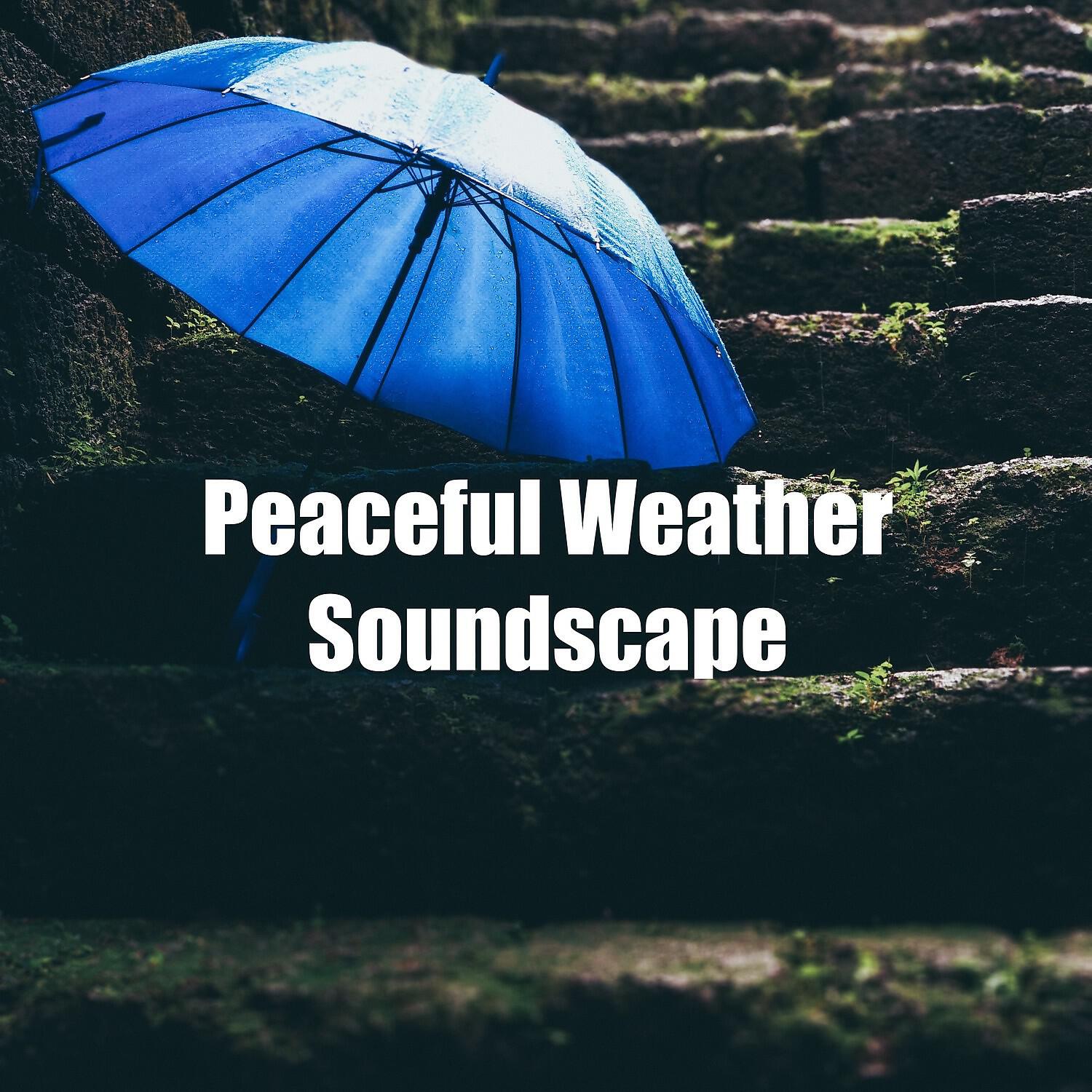 Calm Weather Factory - Blissful Relax with Rain