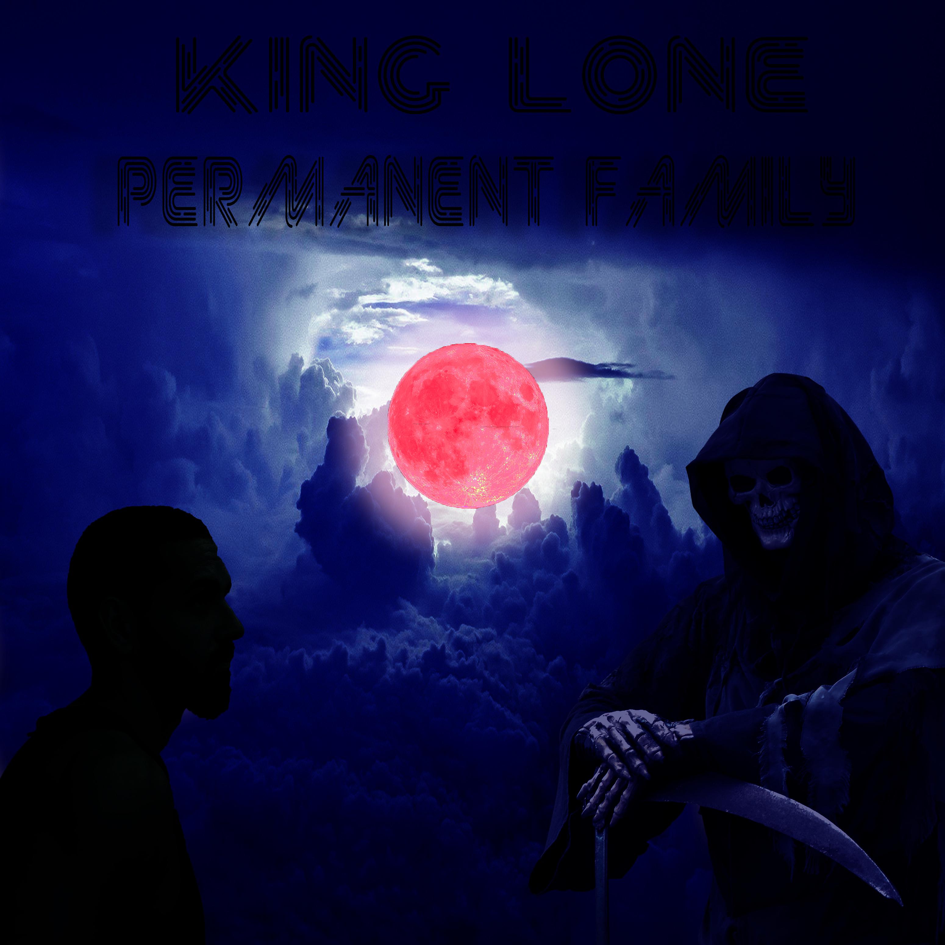 Постер альбома Permanent Family