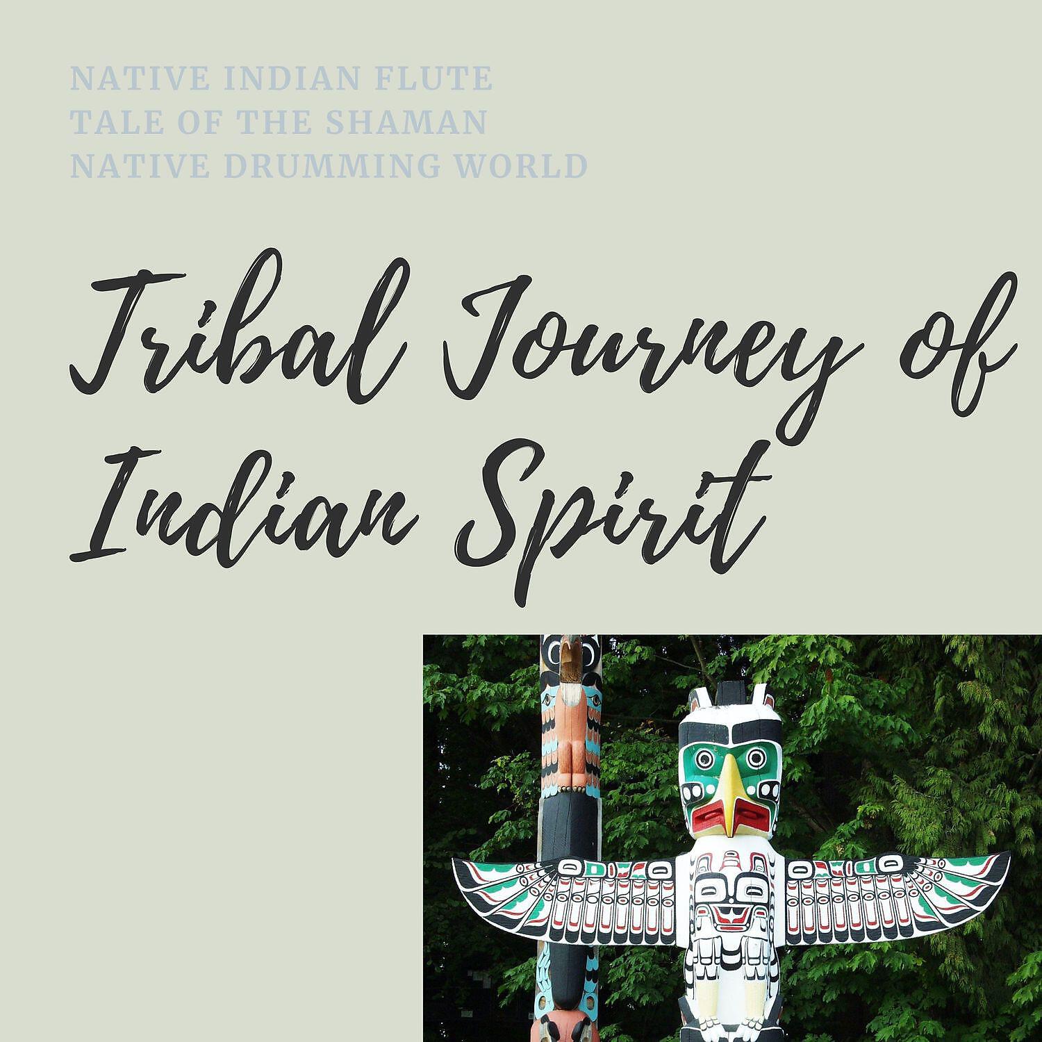 Native Indian Flute - Native American Flute