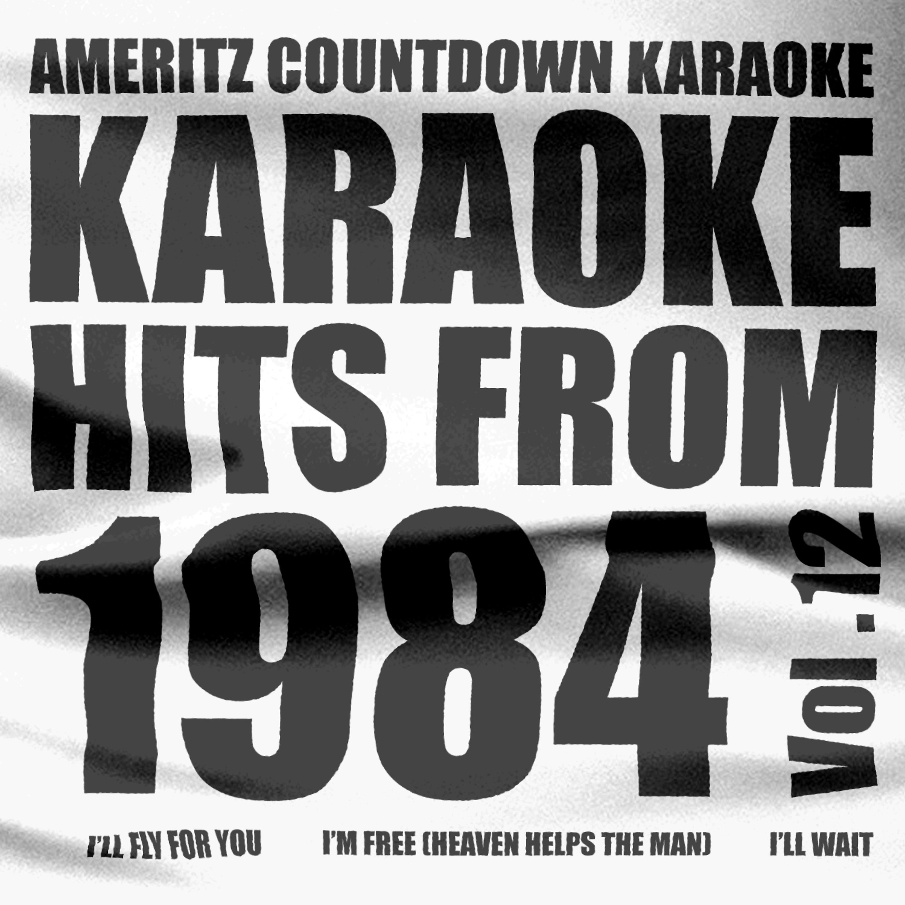 Постер альбома Karaoke Hits from 1984, Vol. 12