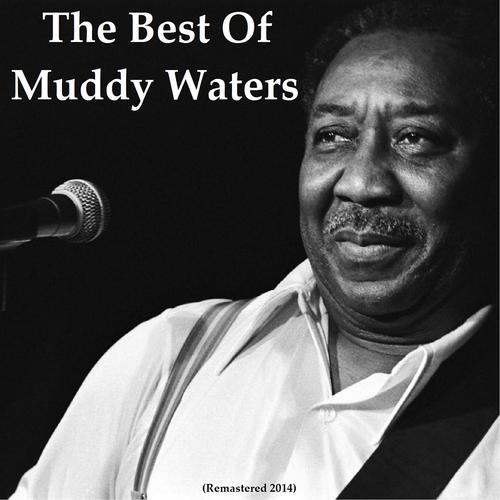 Постер альбома The Best of Muddy Waters (Remastered 2014)