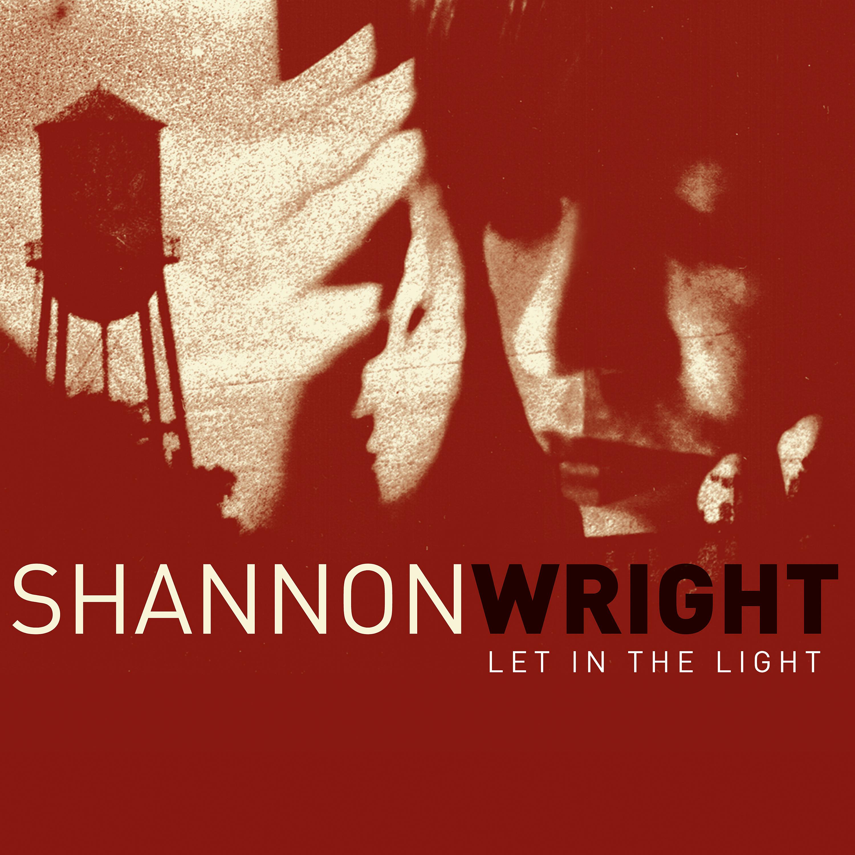 Постер альбома Let in the Light