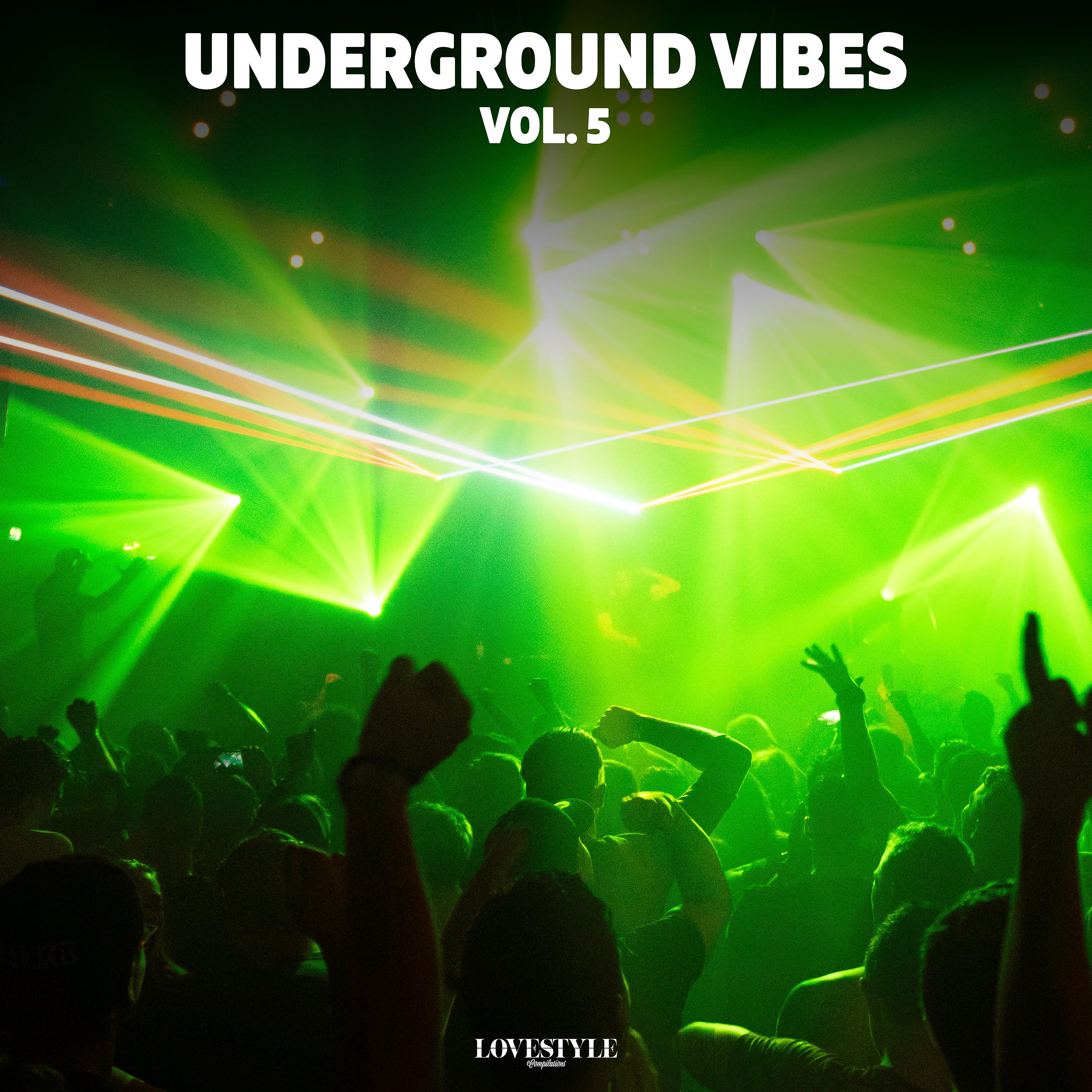 Постер альбома Underground Vibes Vol. 5