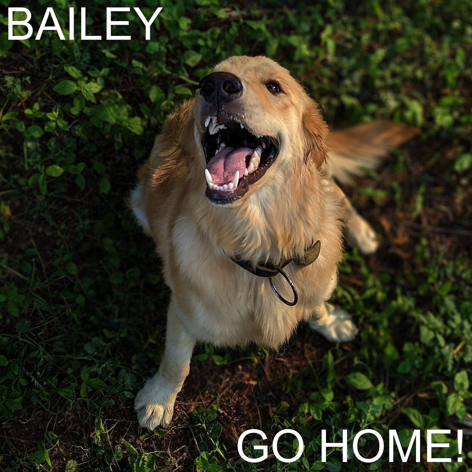 Bailey - Hey Bob