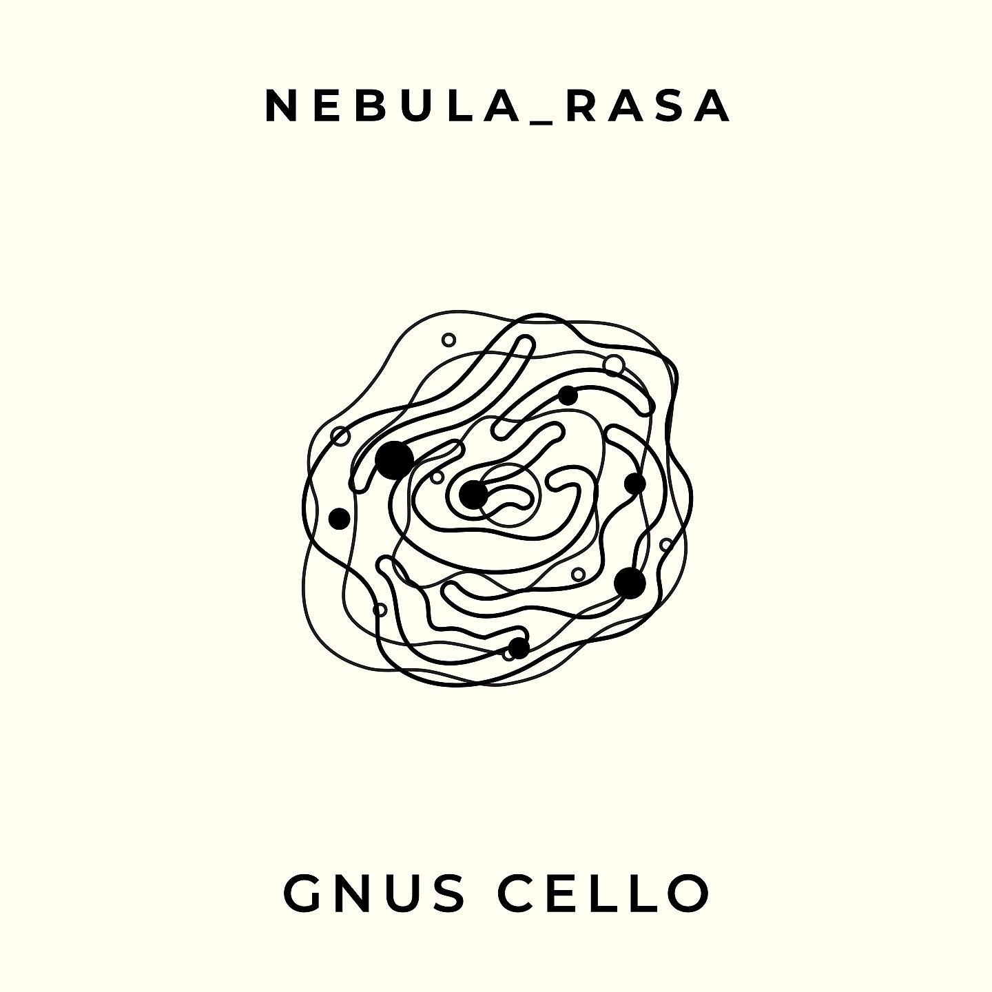 Постер альбома Nebula_rasa