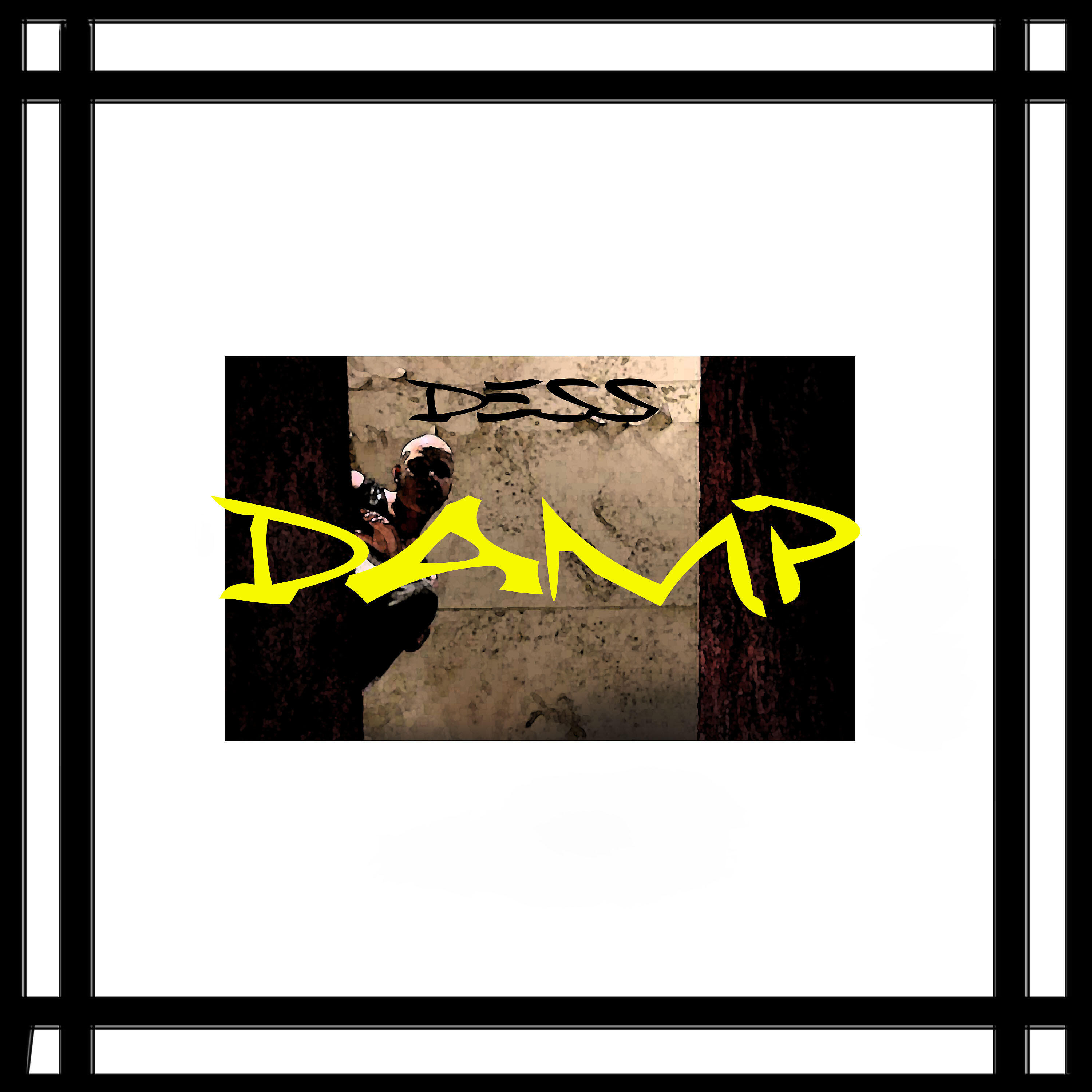 DESS - Damp