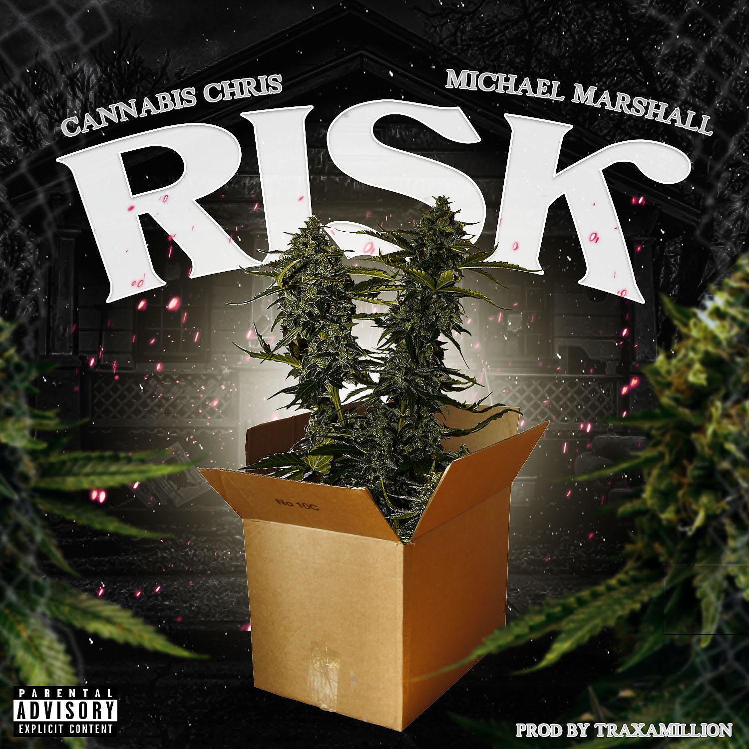 Постер альбома Risk (feat. Michael Marshall)